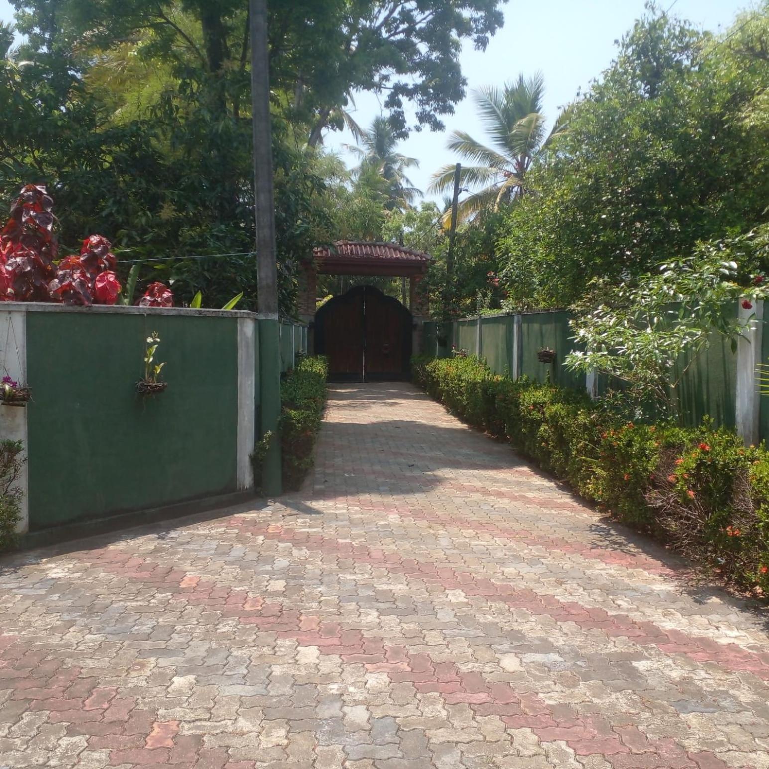 Photo 6