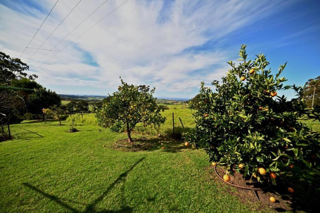 Jamberoo Valley Farm