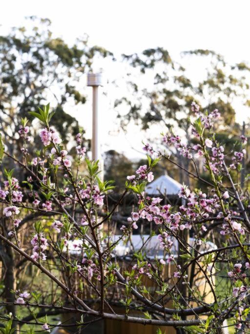Jamberoo Valley Farm
