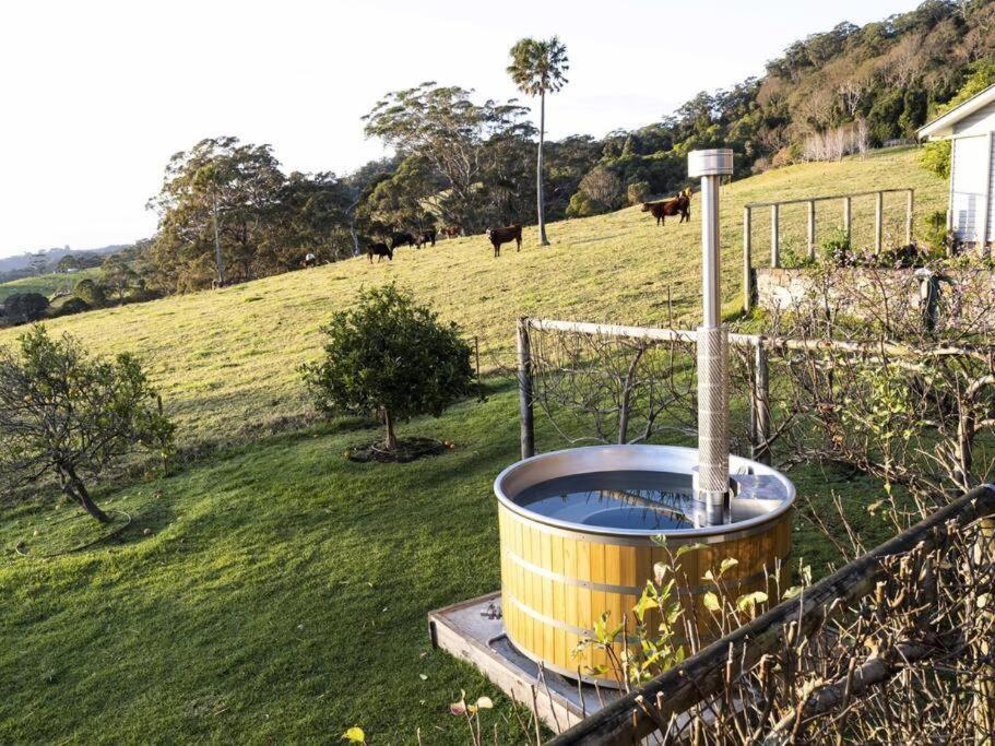 Jamberoo Valley Farm