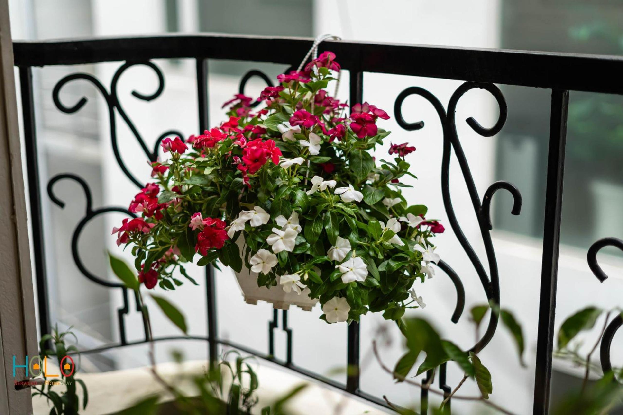 HOLO LE THANH TON SAIGON Serviced HomeStay