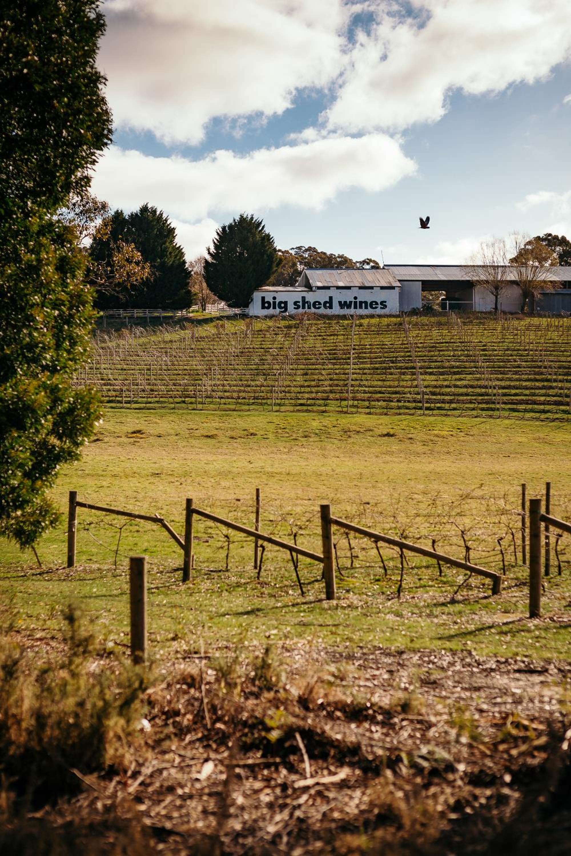 The Cottages at Hepburn Springs