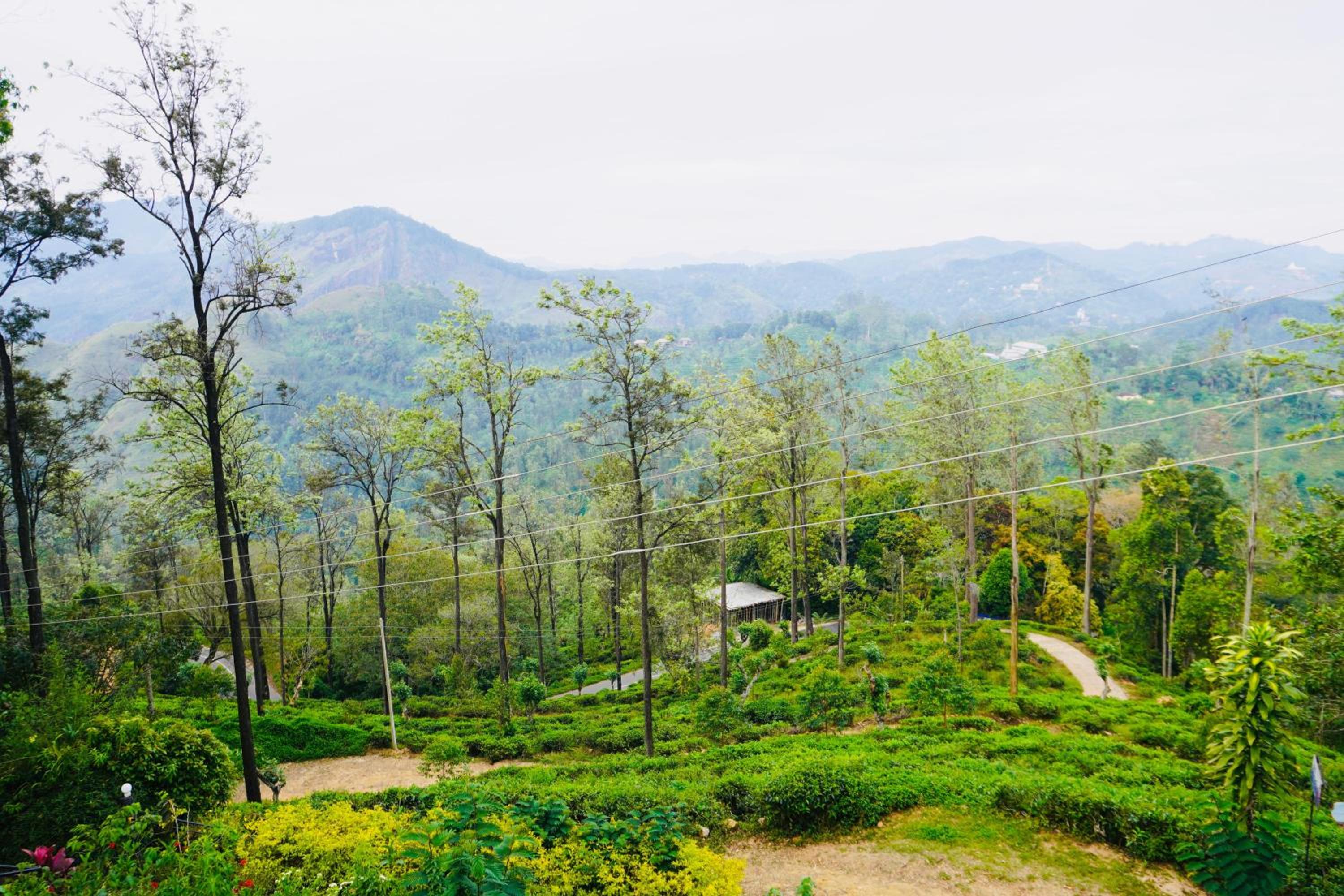 Ella Mountain Palace