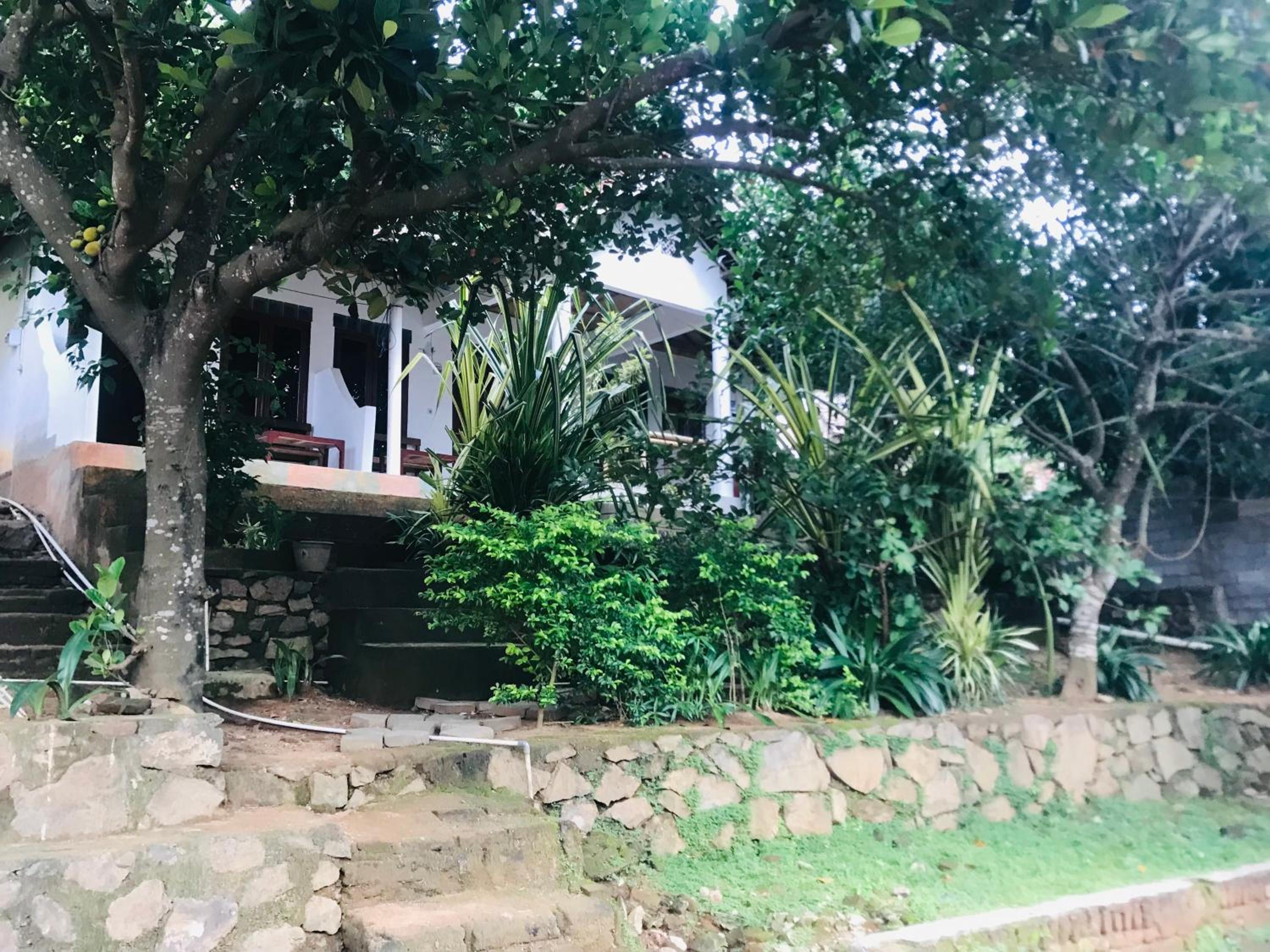 Kampung homestay