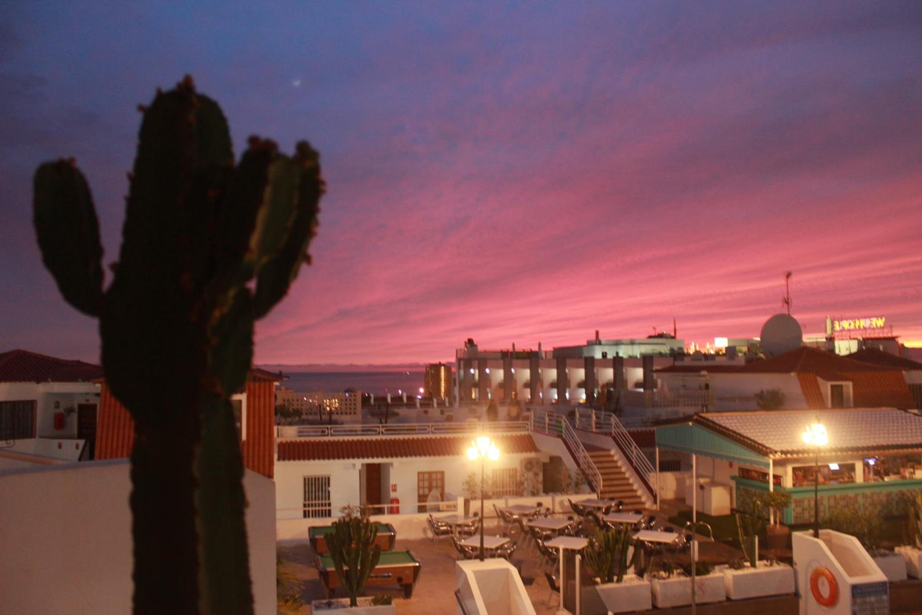 Tipaki Home Los Cristianos