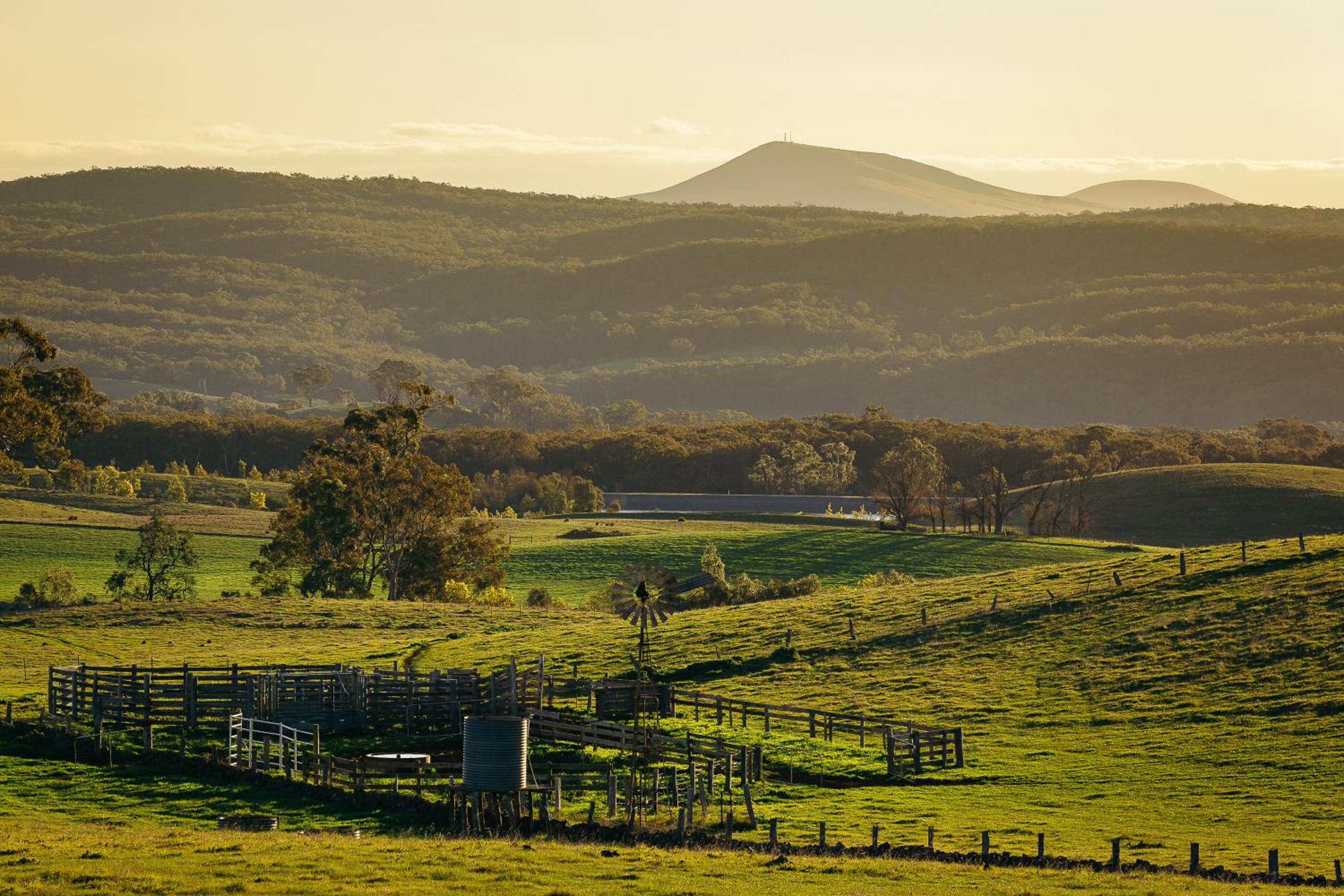 The Cottages at Hepburn Springs