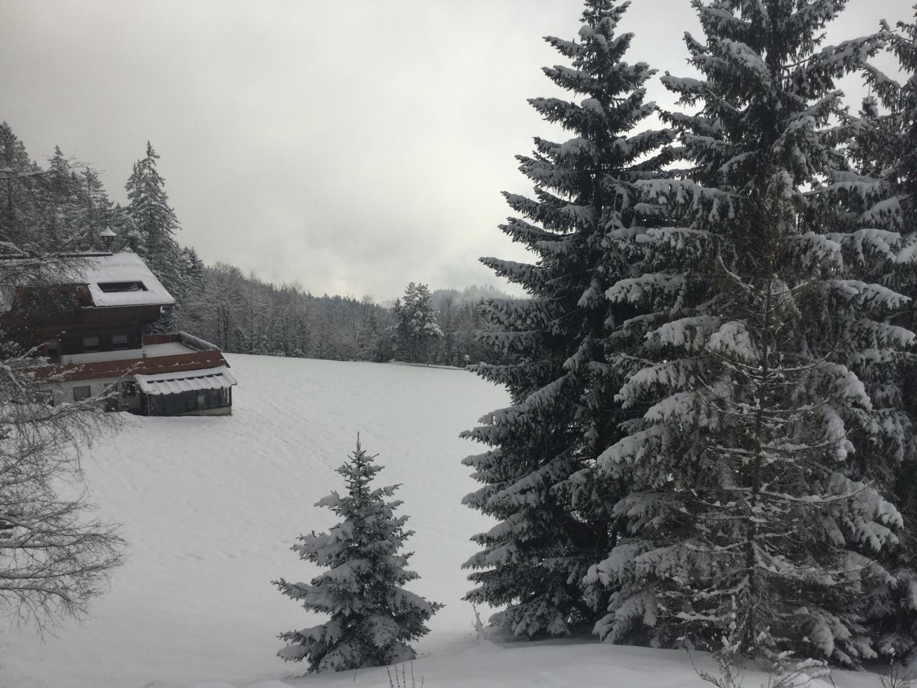 Ferienwohnungen Vomperberg, photo 91