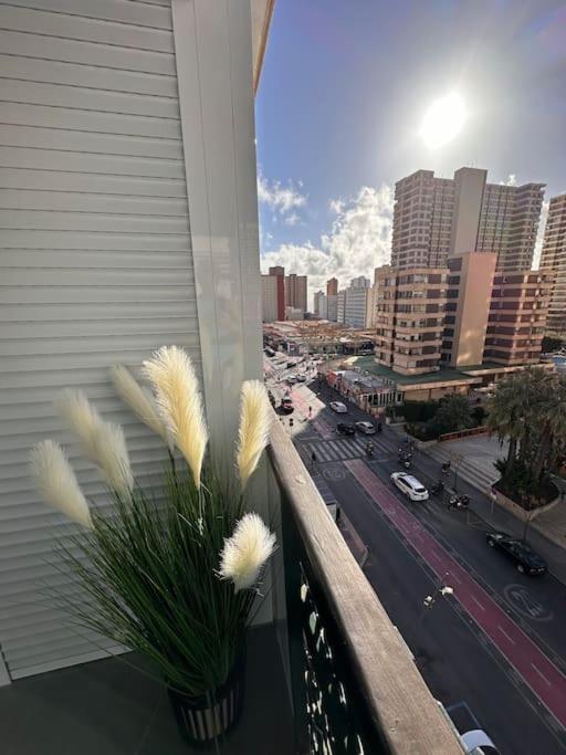 Apartament Paradiso,500m PLAYA LEVANTE BEACH view 4