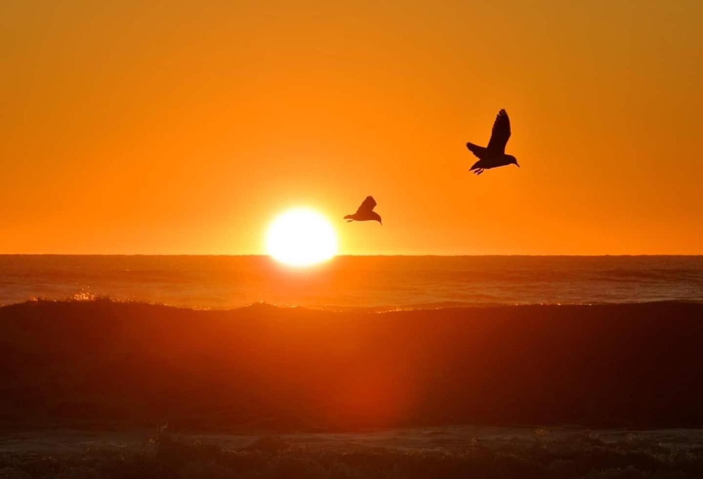 Hokitika Beach Break