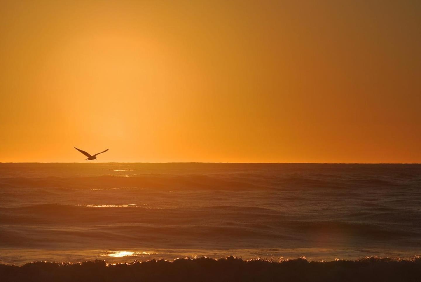 Hokitika Beach Break