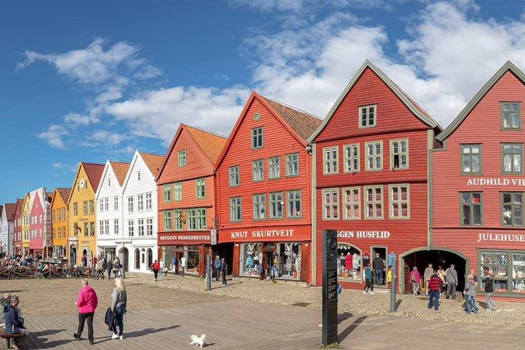 Bryggen/Koengen Studio-Apartment view 2