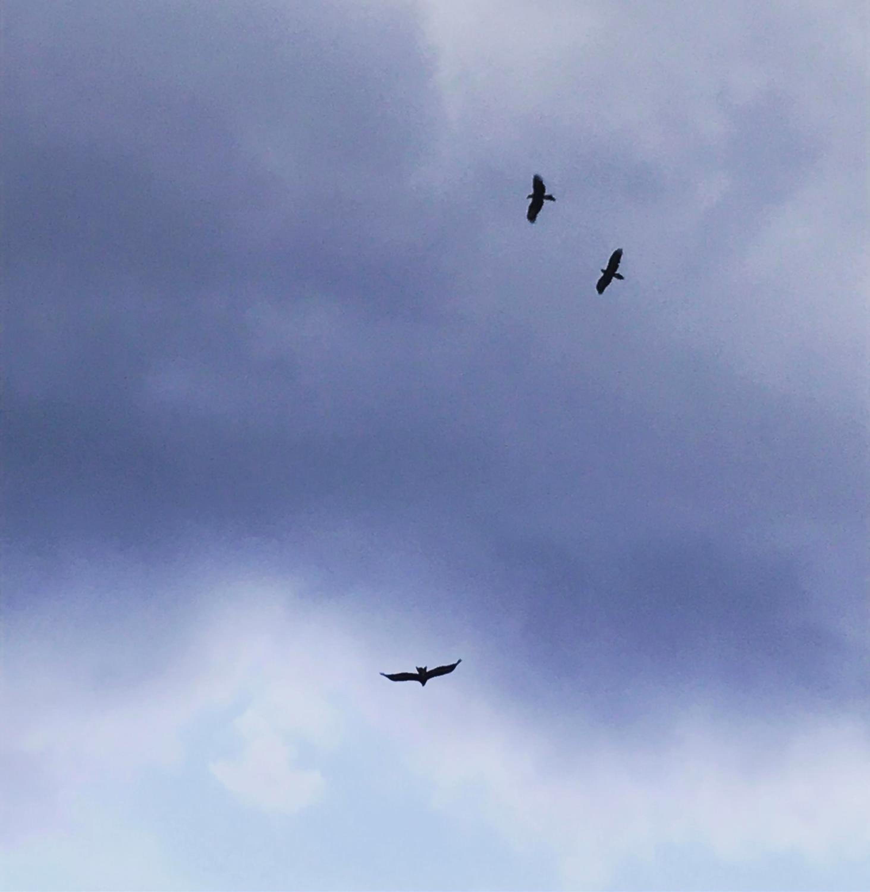 Eagle's Nest