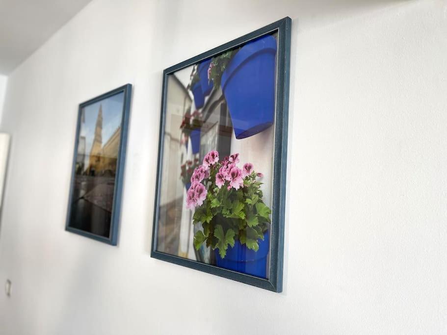 Apartamento céntrico urbano con terraza