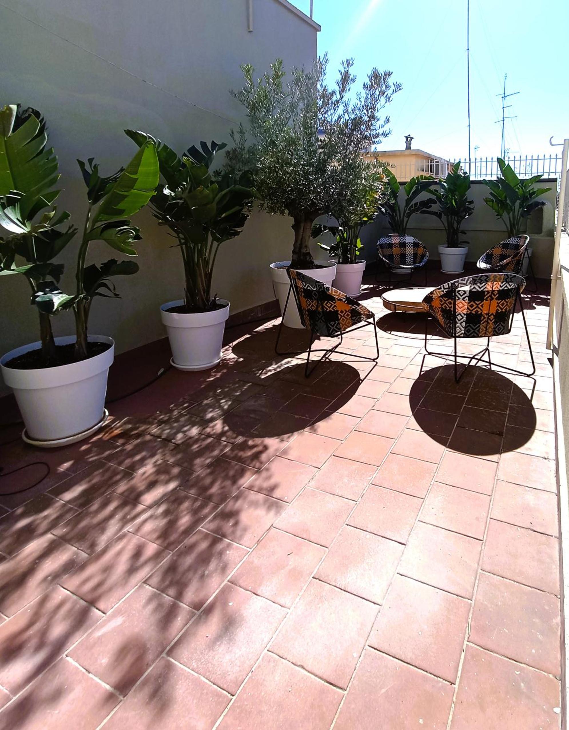 balance & terrace