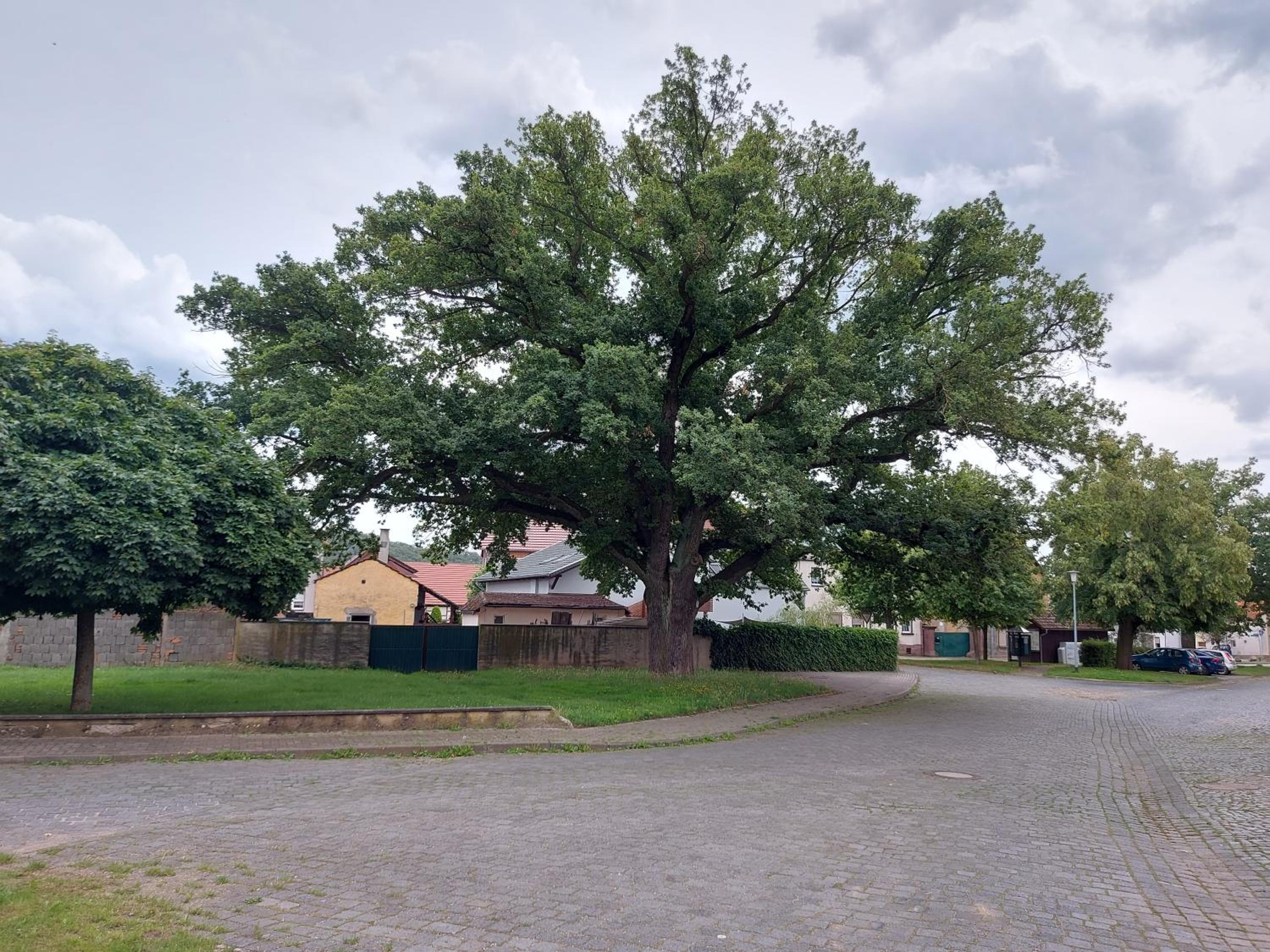 Ferienwohnung 'Frühauf' im Südharz OT Uftrungen