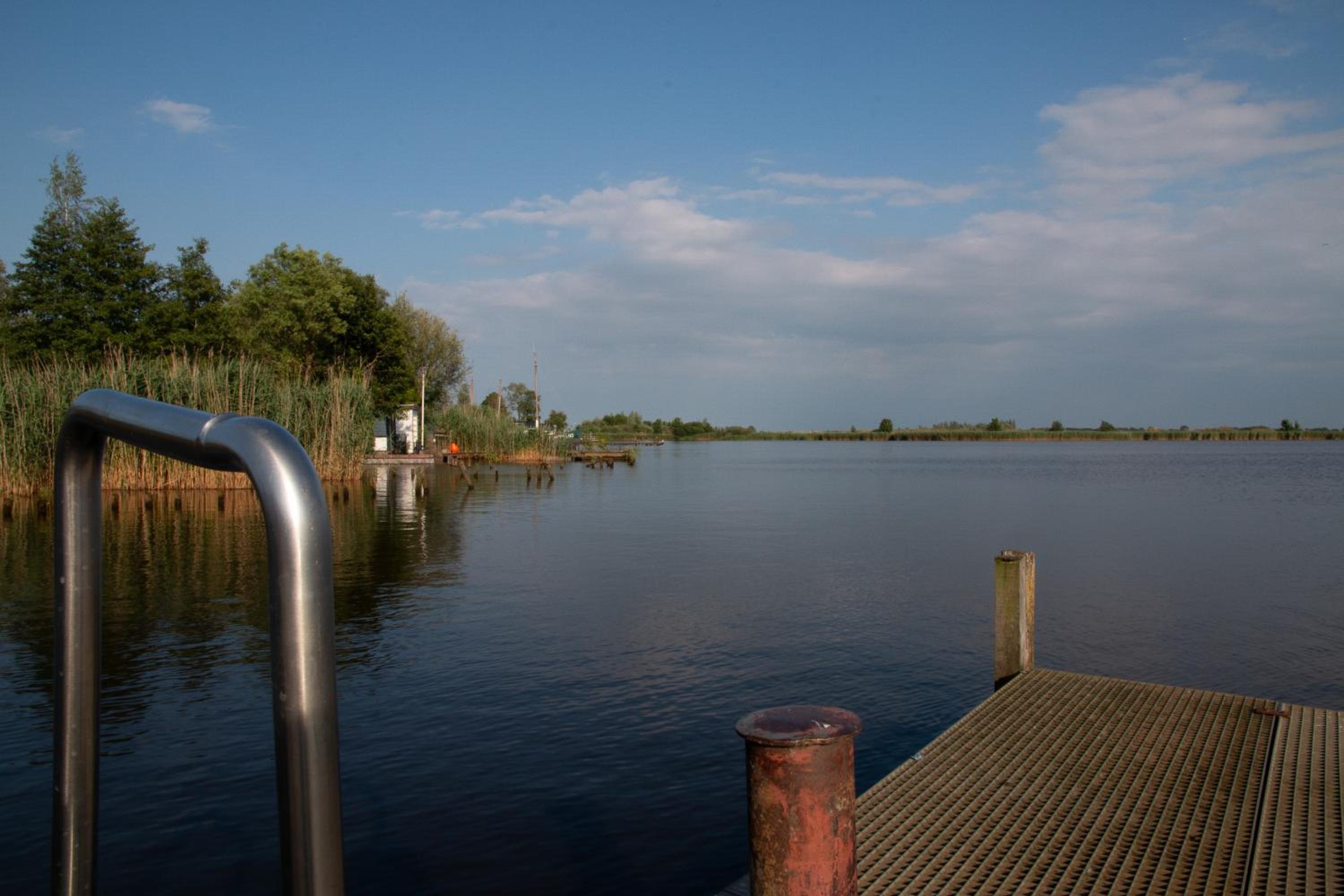 Photo 50