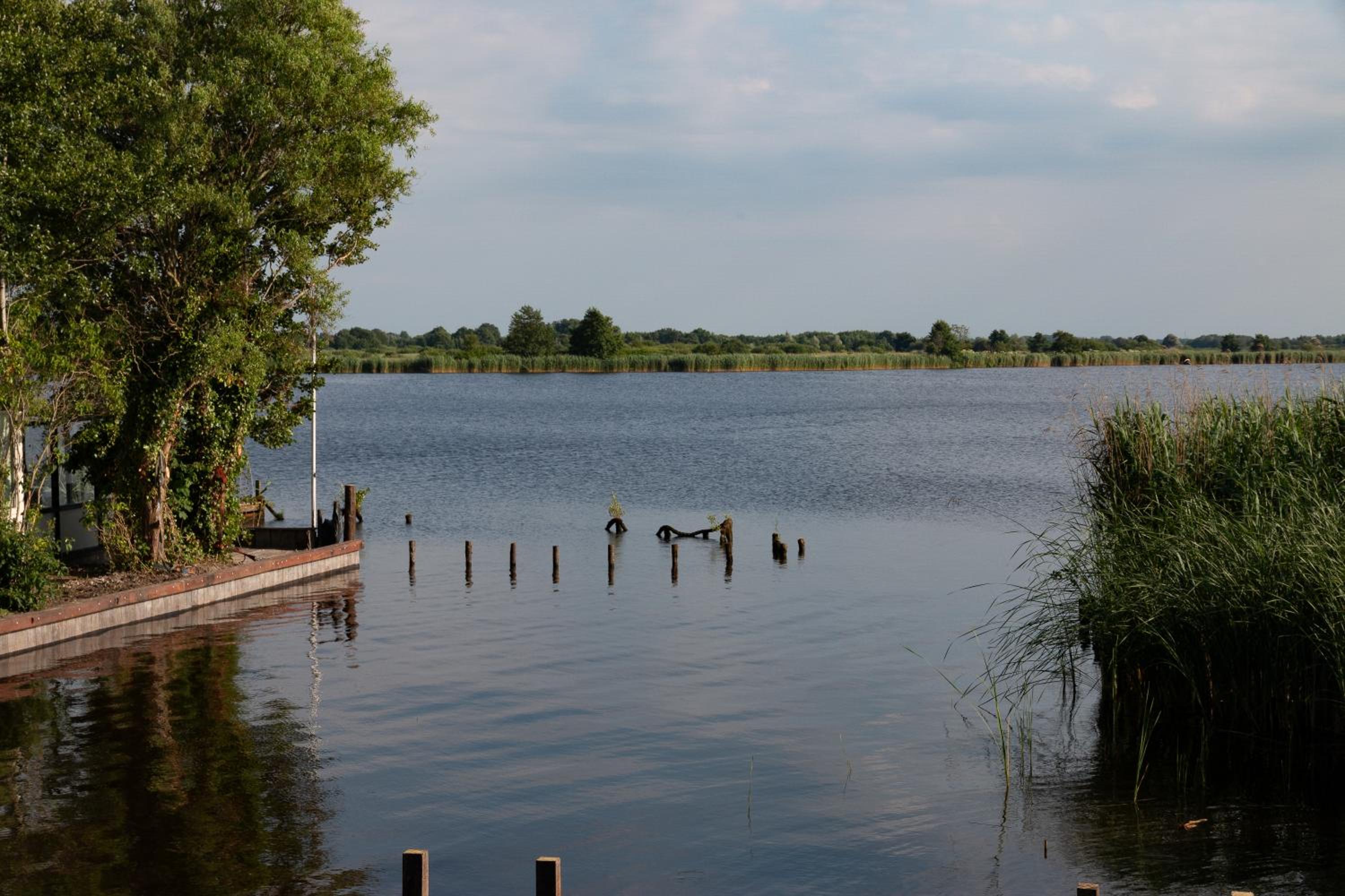 Photo 46