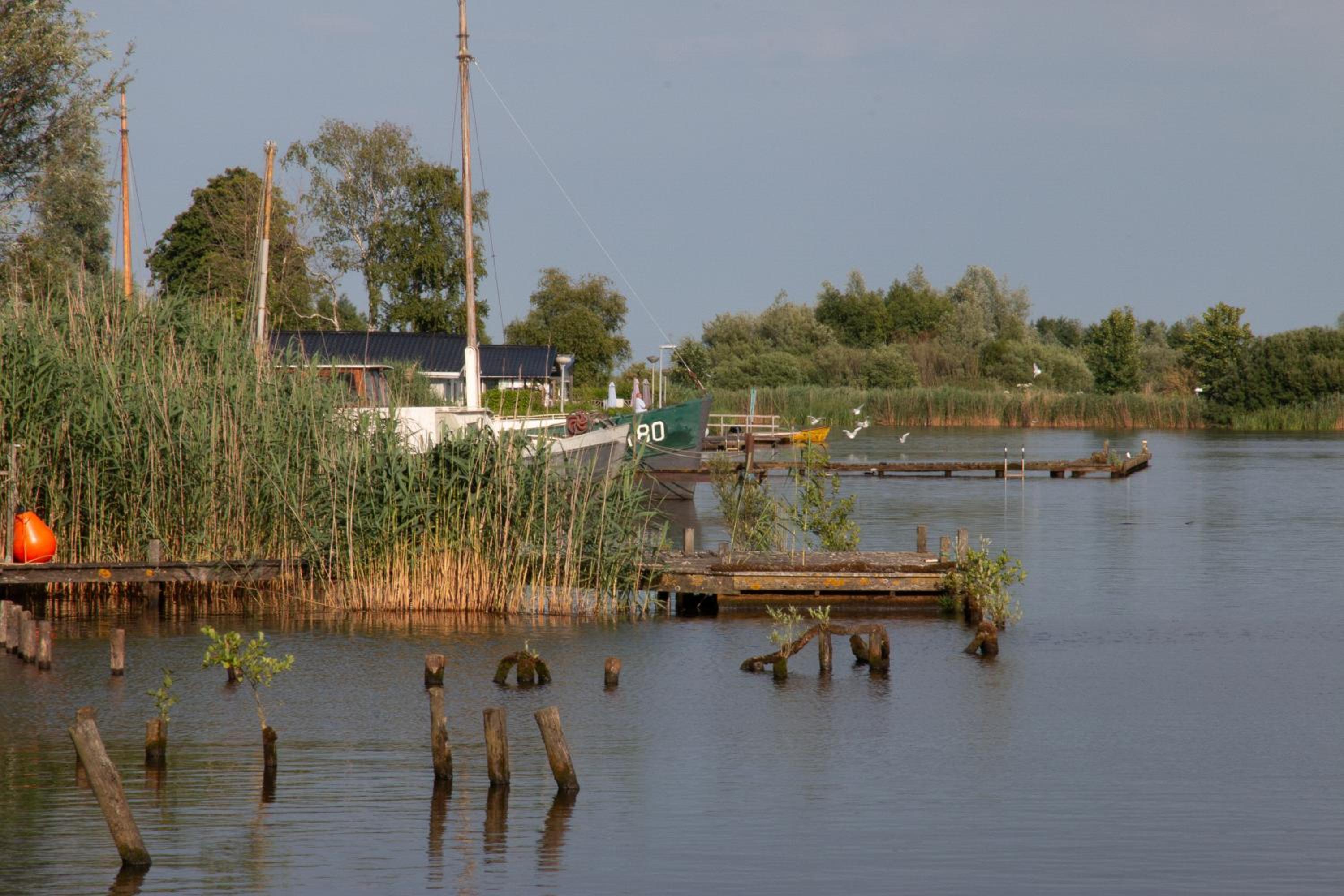 Photo 47