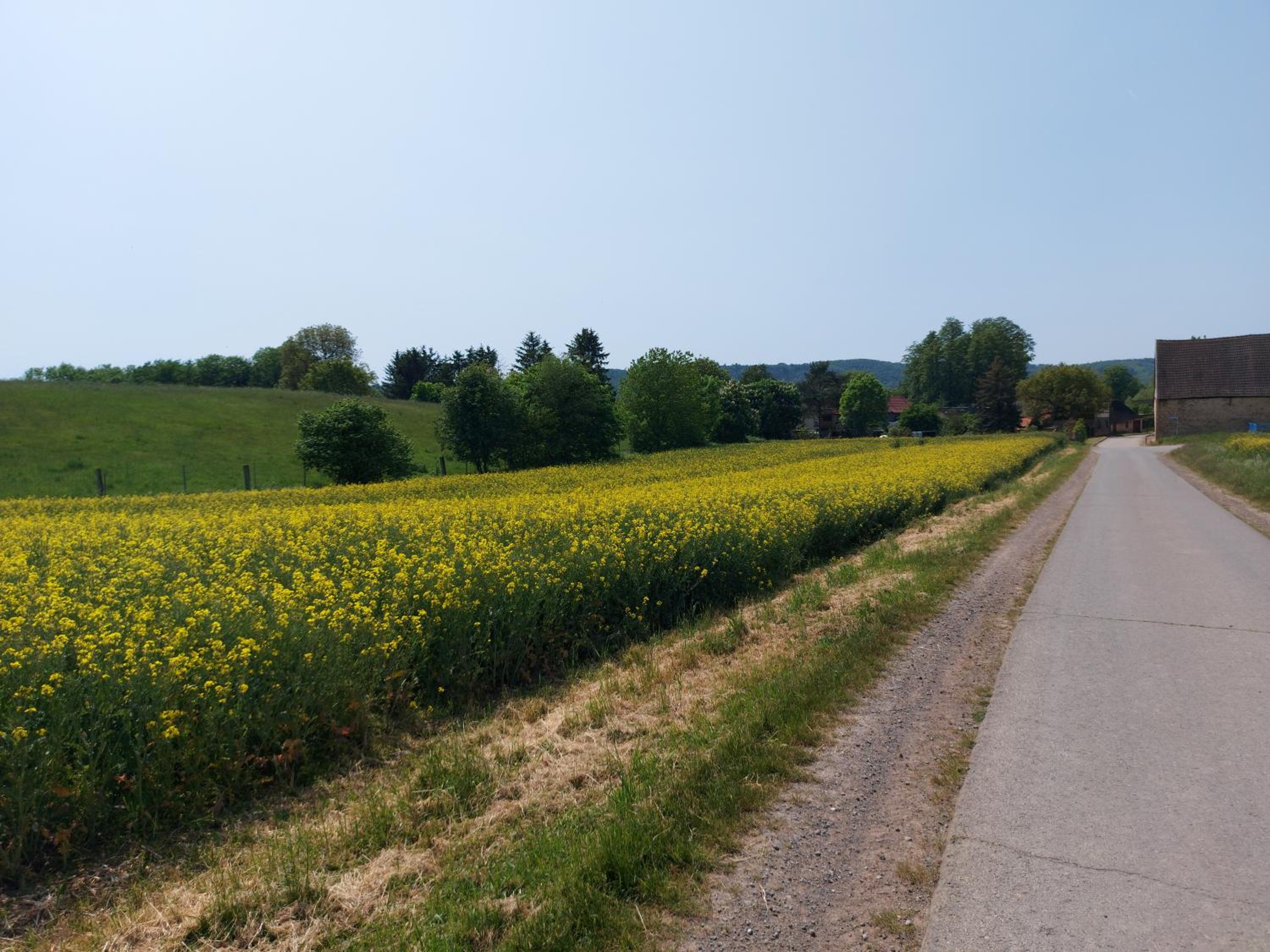 Ferienwohnung 'Frühauf' im Südharz OT Uftrungen