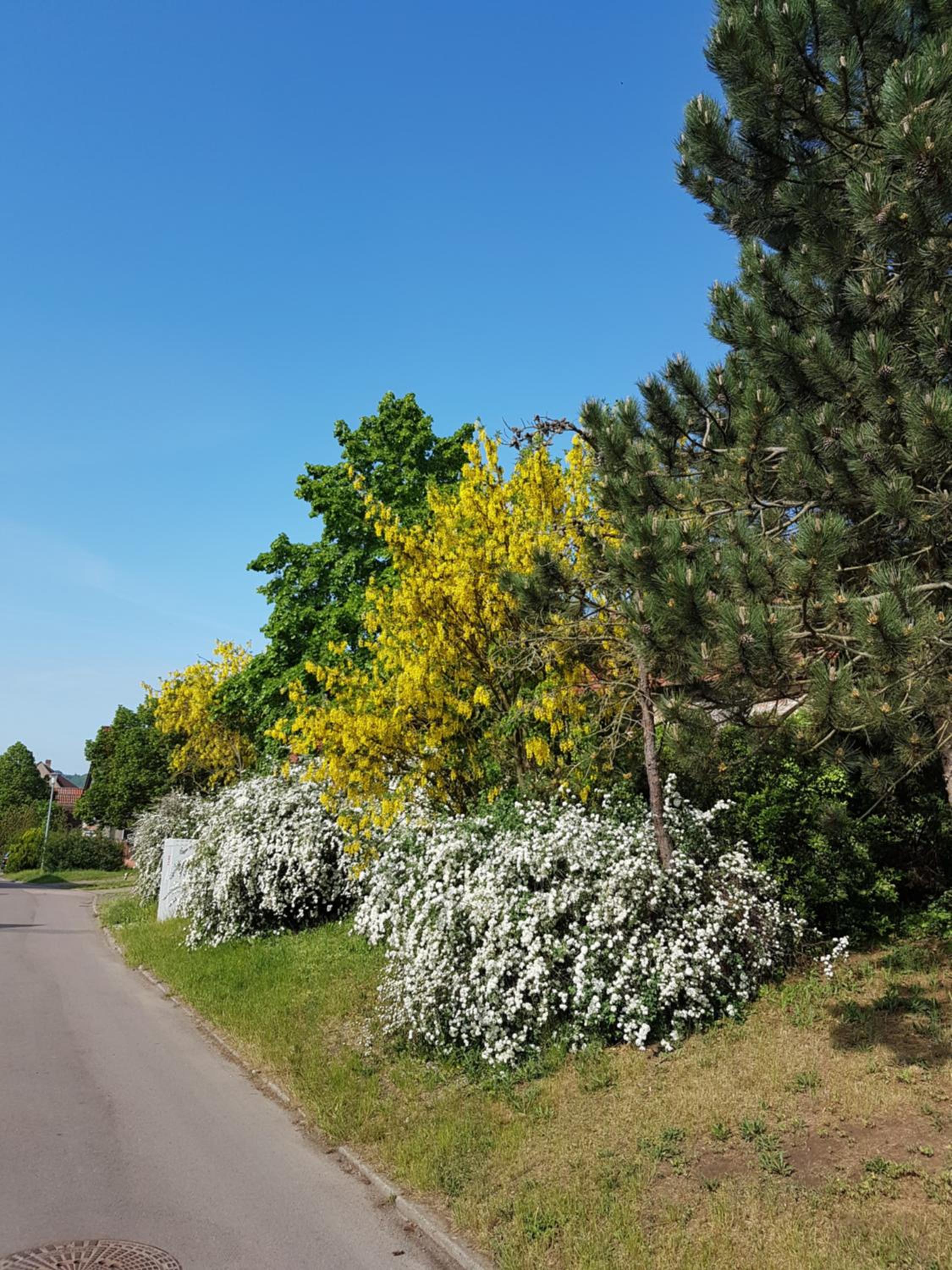 Ferienwohnung 'Frühauf' im Südharz OT Uftrungen