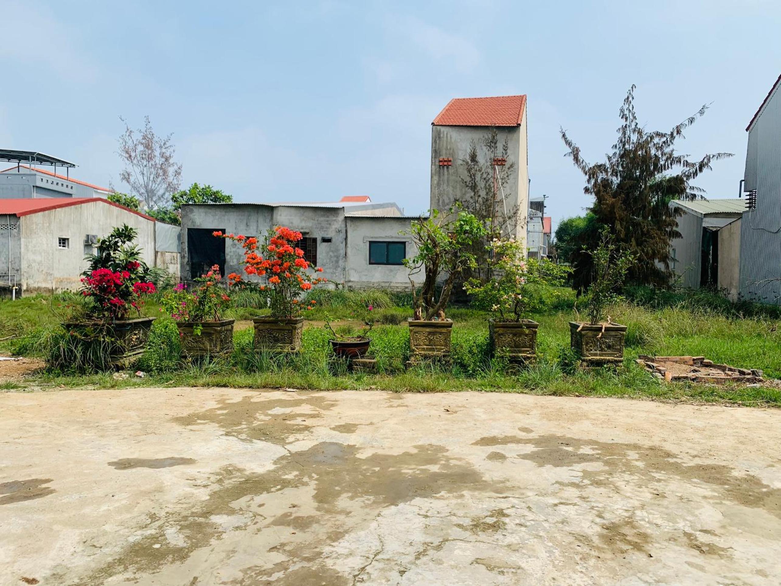 Nhà Nghỉ Tuổi Hồng view 3