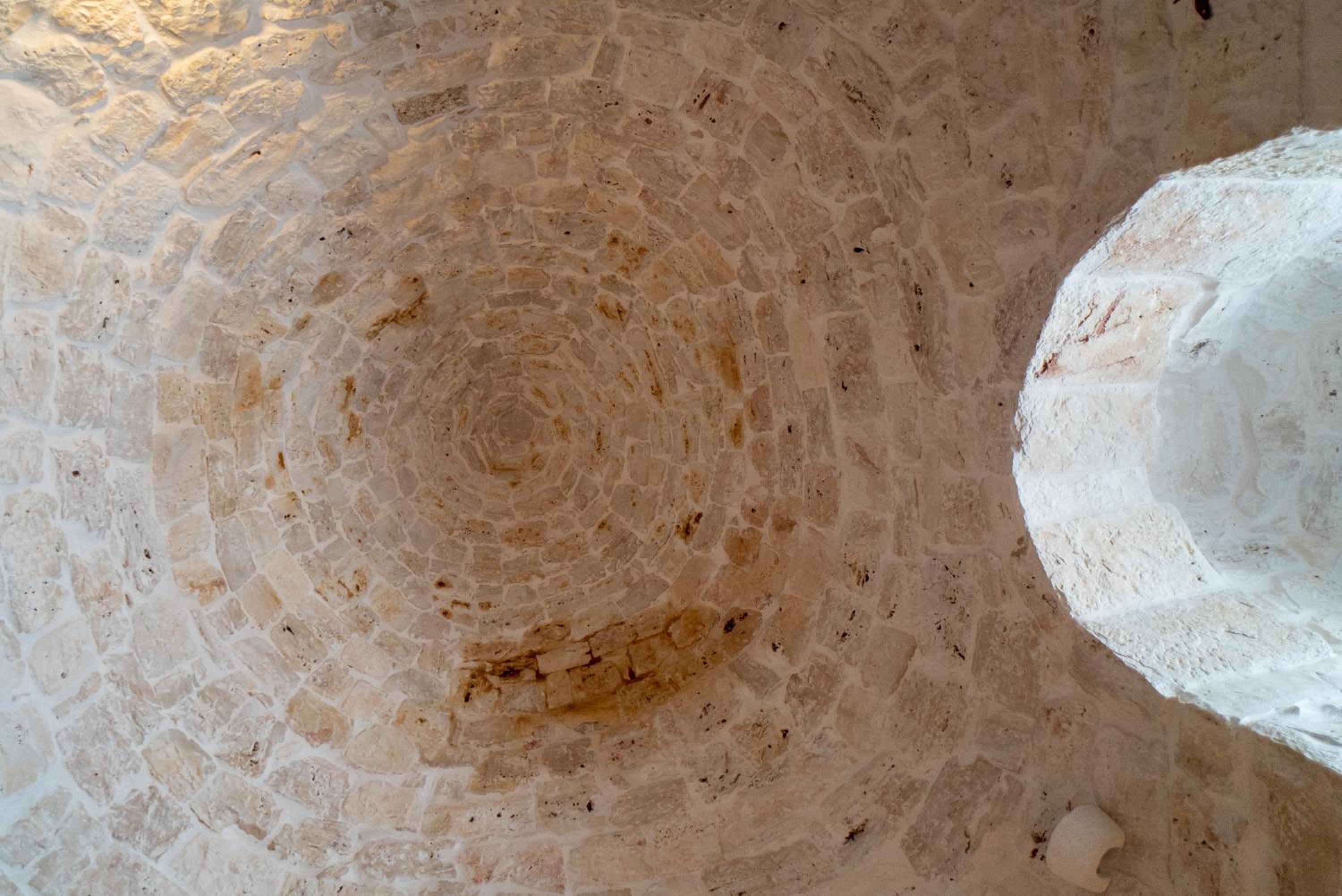 Trullo Starbax
