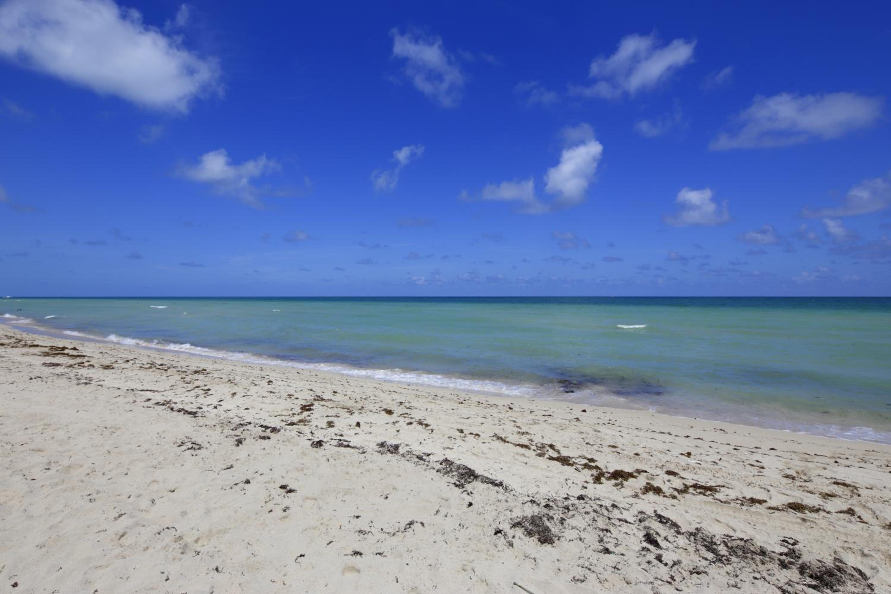 New Point Miami Beach Apartments
