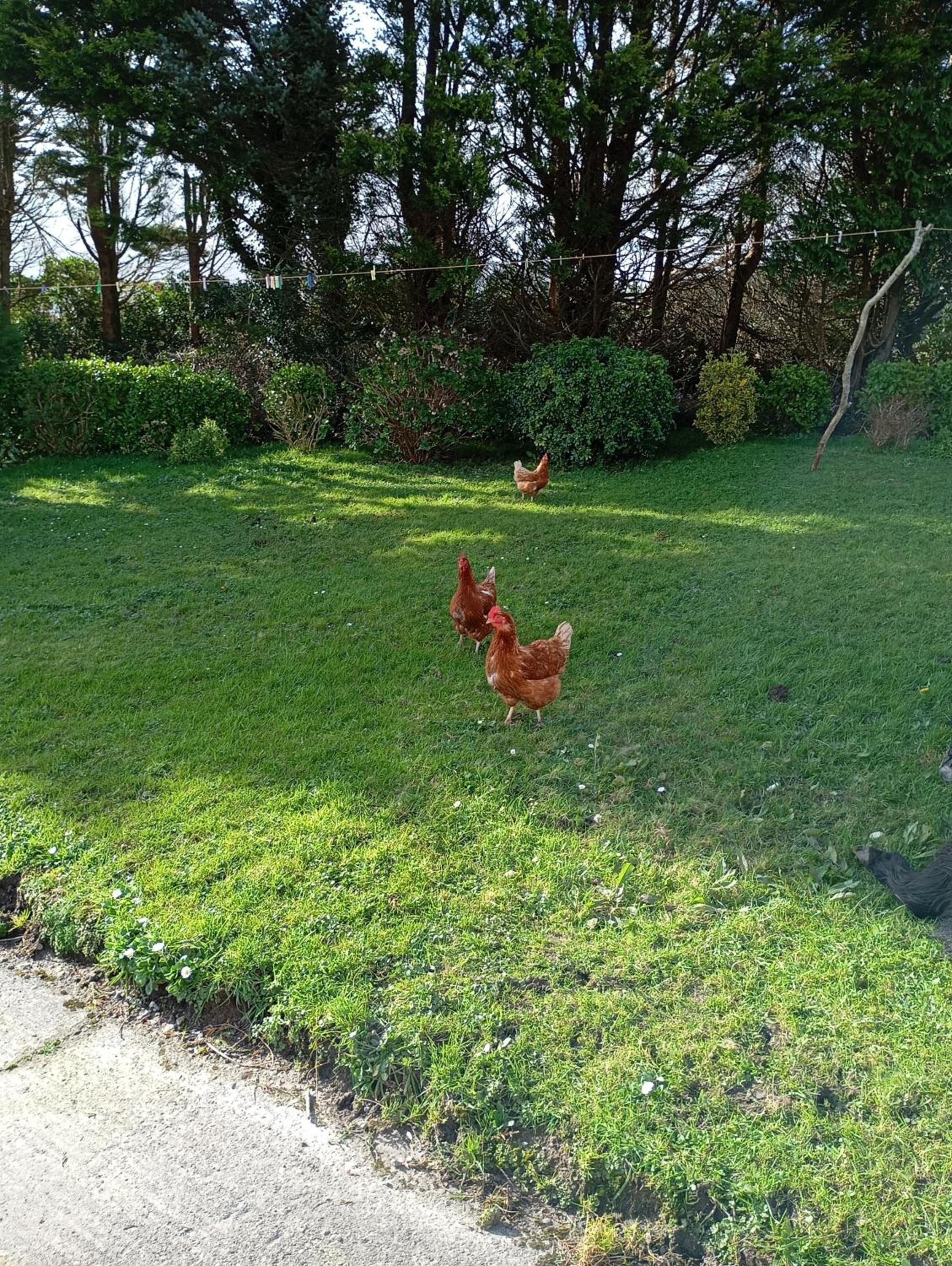Room in Apartment - 1 Bedroom In A Homely Home With A Lovely Farm view 5