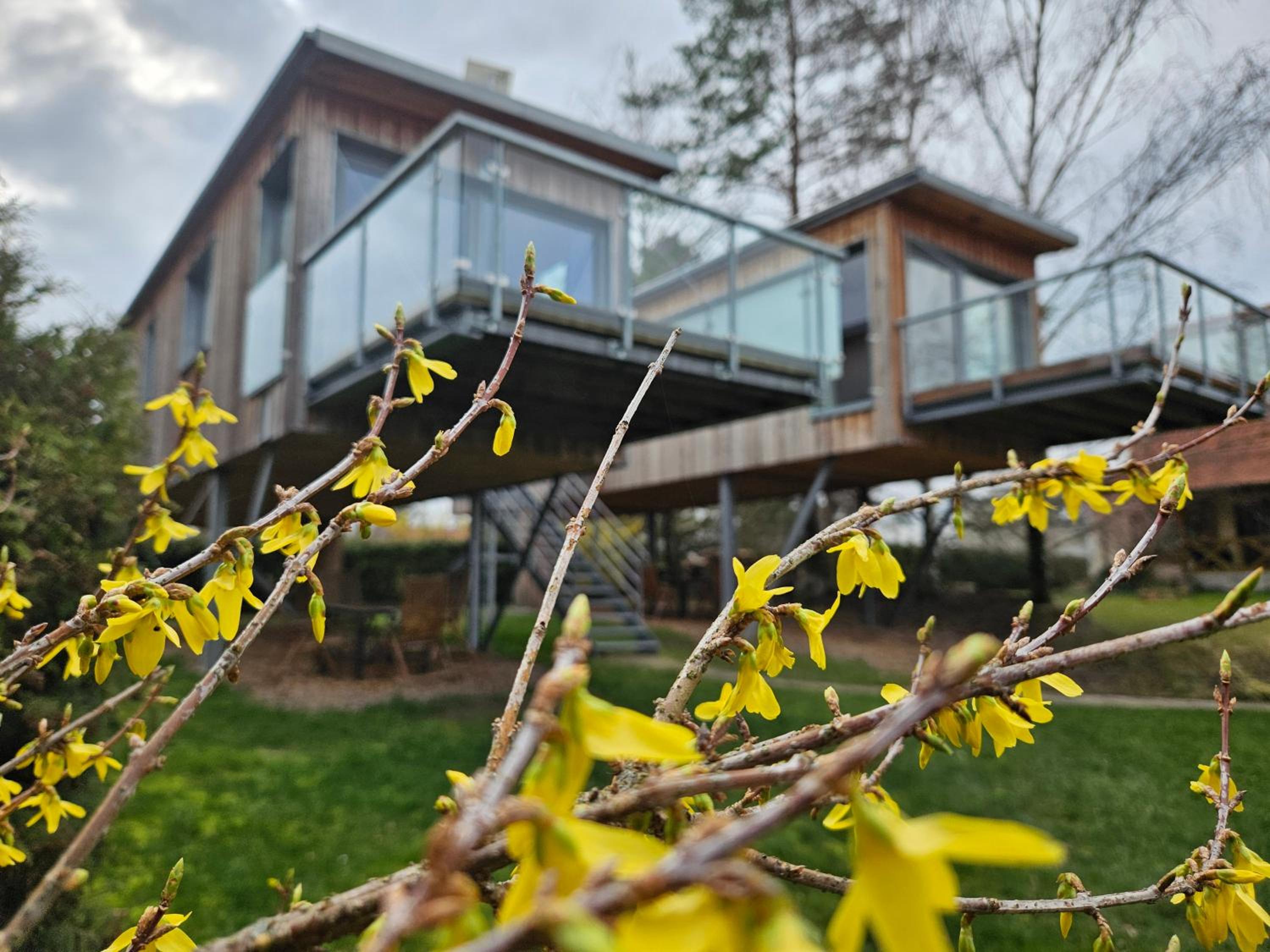 Baumhaus und Tinyhaus