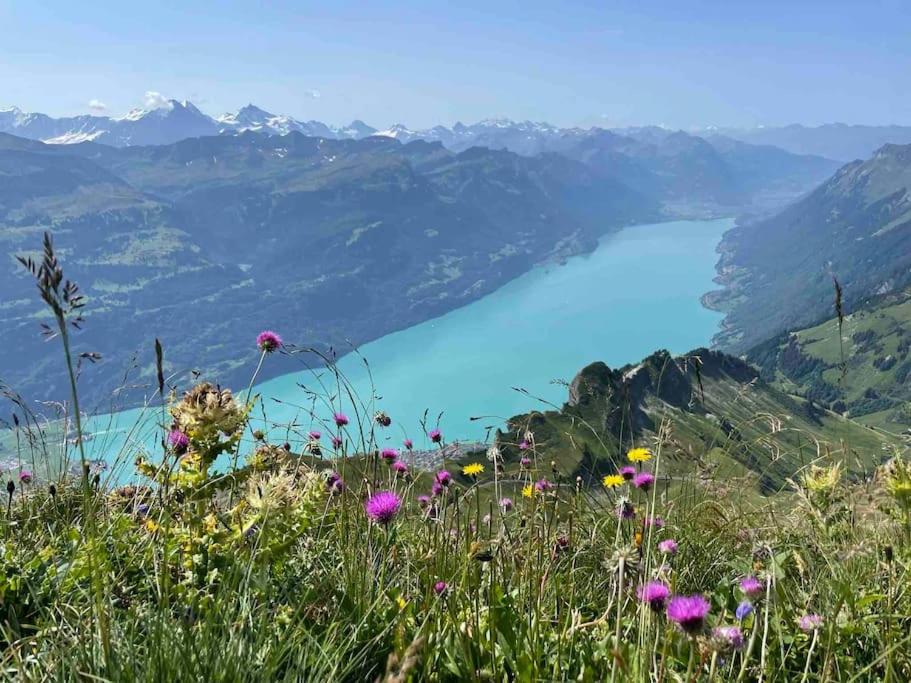 Romantic Swiss Alp Iseltwald with Lake & Mountains