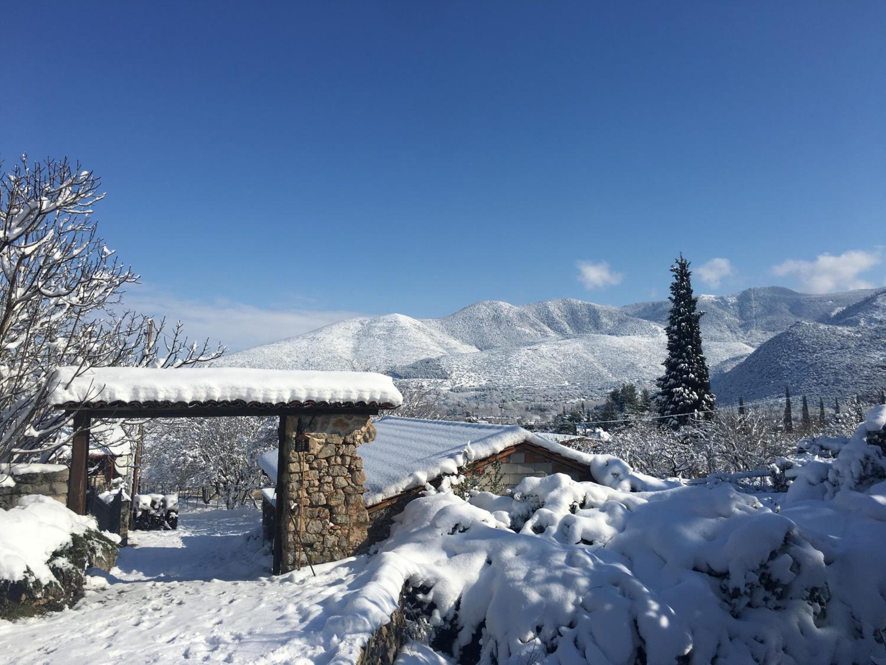 Photo 53