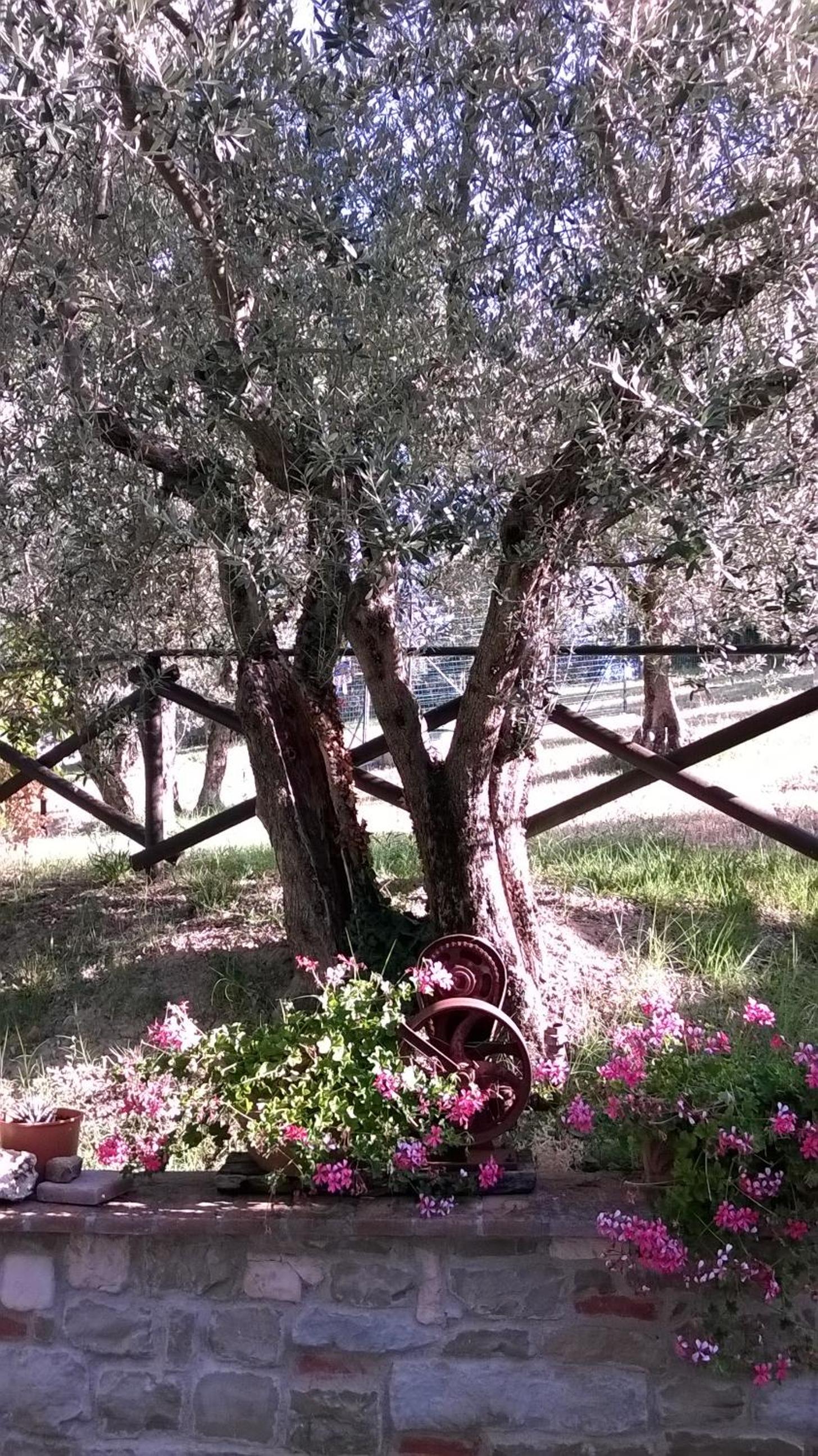 Agriturismo La Cantina San Martino