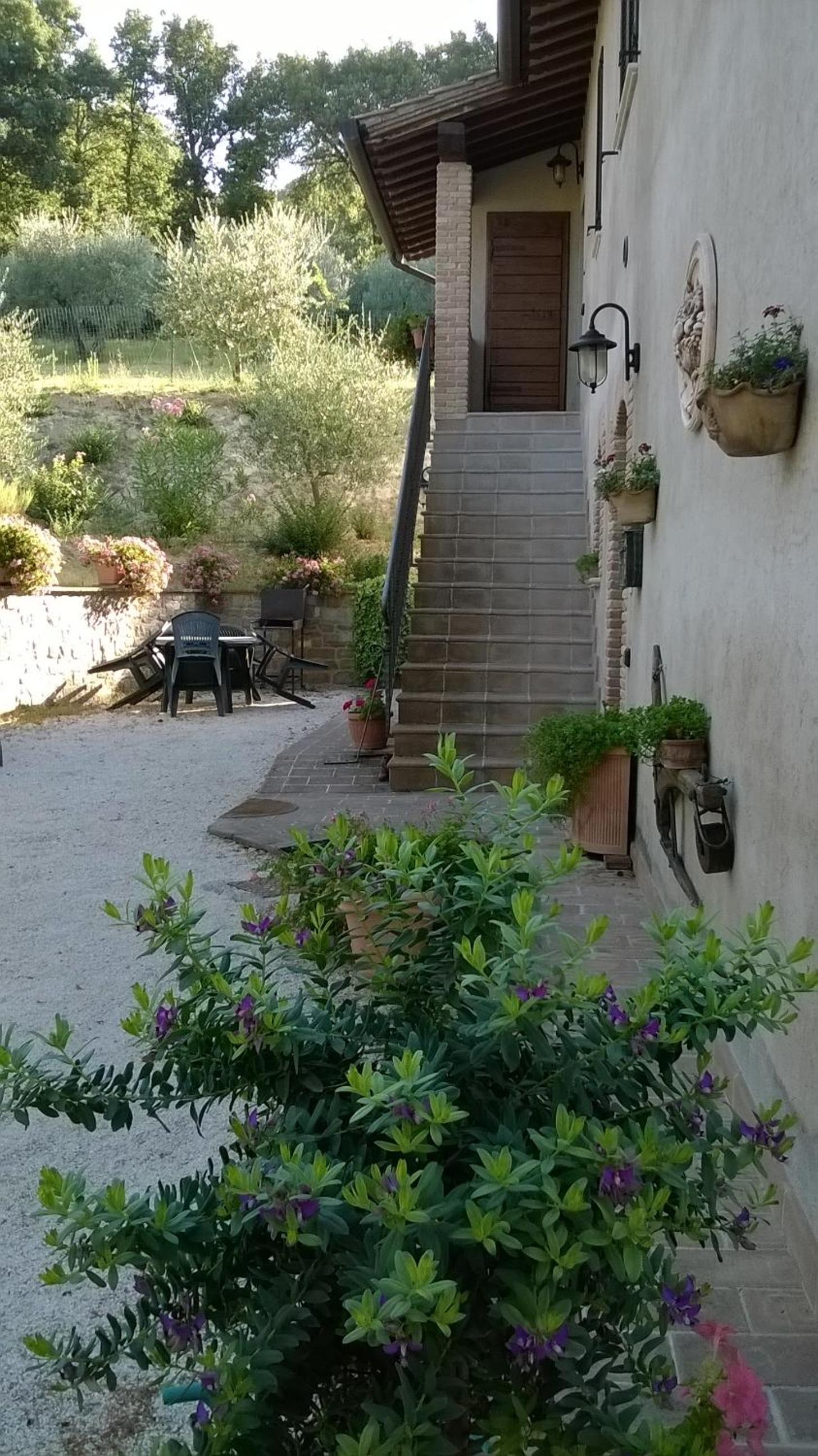 Photo 31