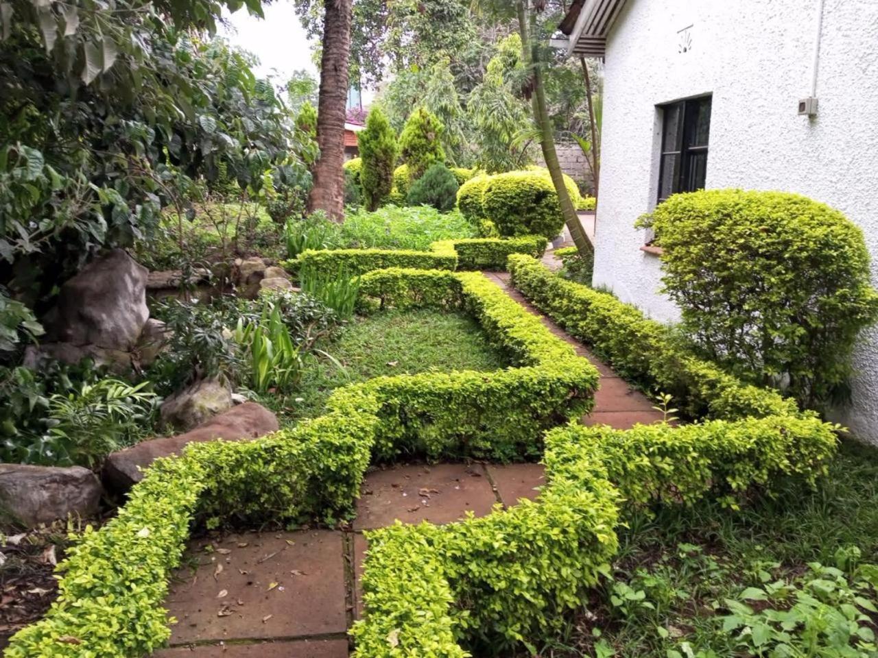 Homely-stay Guesthouse view 2