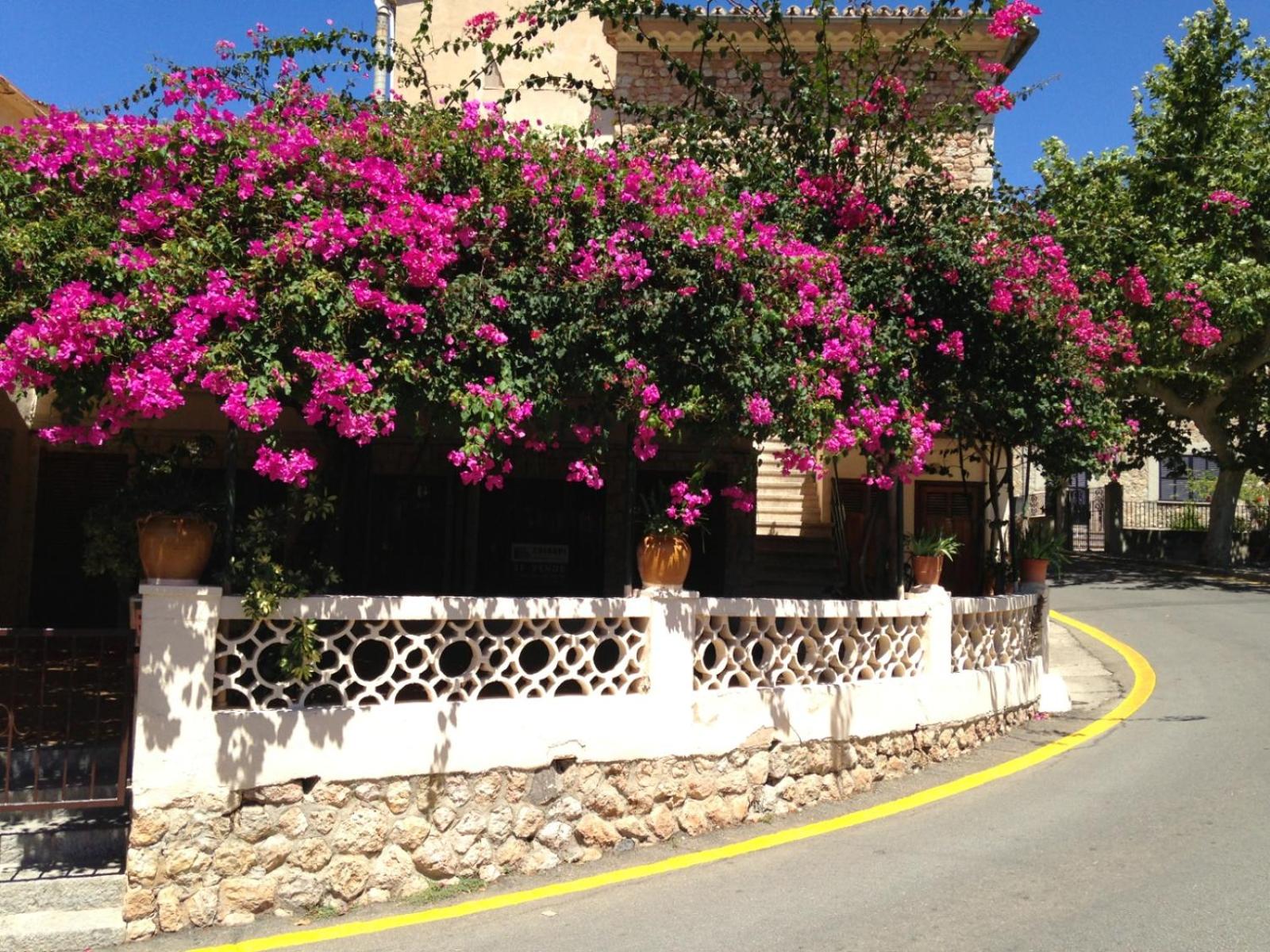 Casa La Mariposa