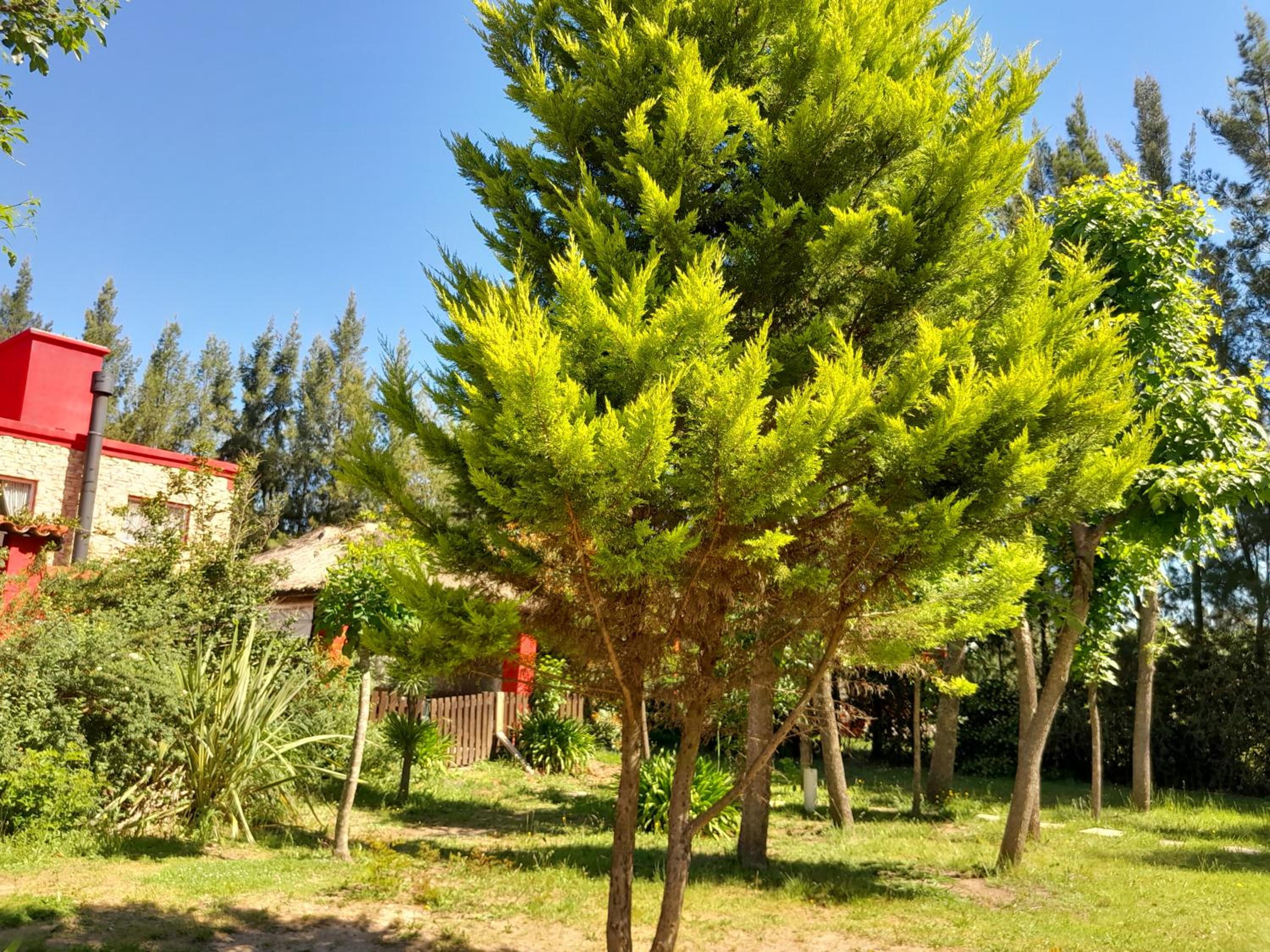 Hotel y Casa de Campo Oasis Campero - Ezeiza Aeropuerto -San Vicente