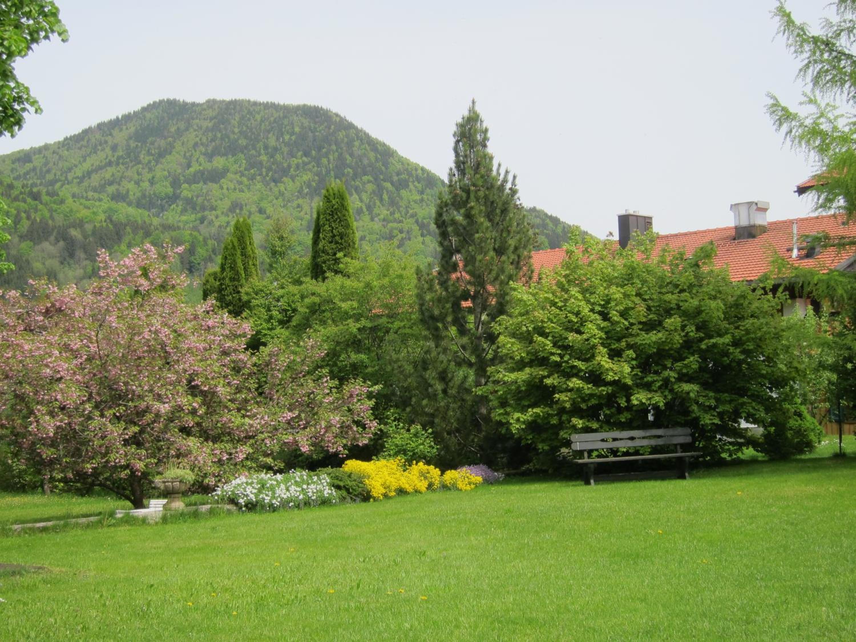 Ferienwohnungen Elisabeth am See view 3