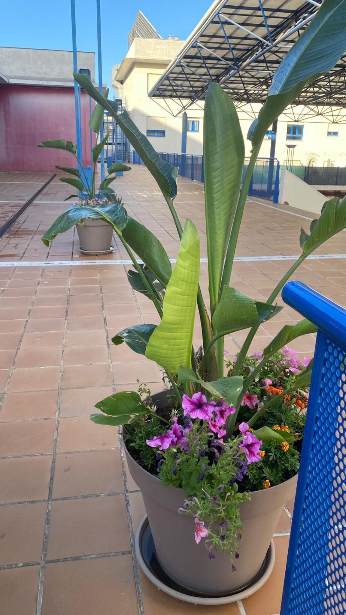 LuxSevilla Moderno Piscina Parking