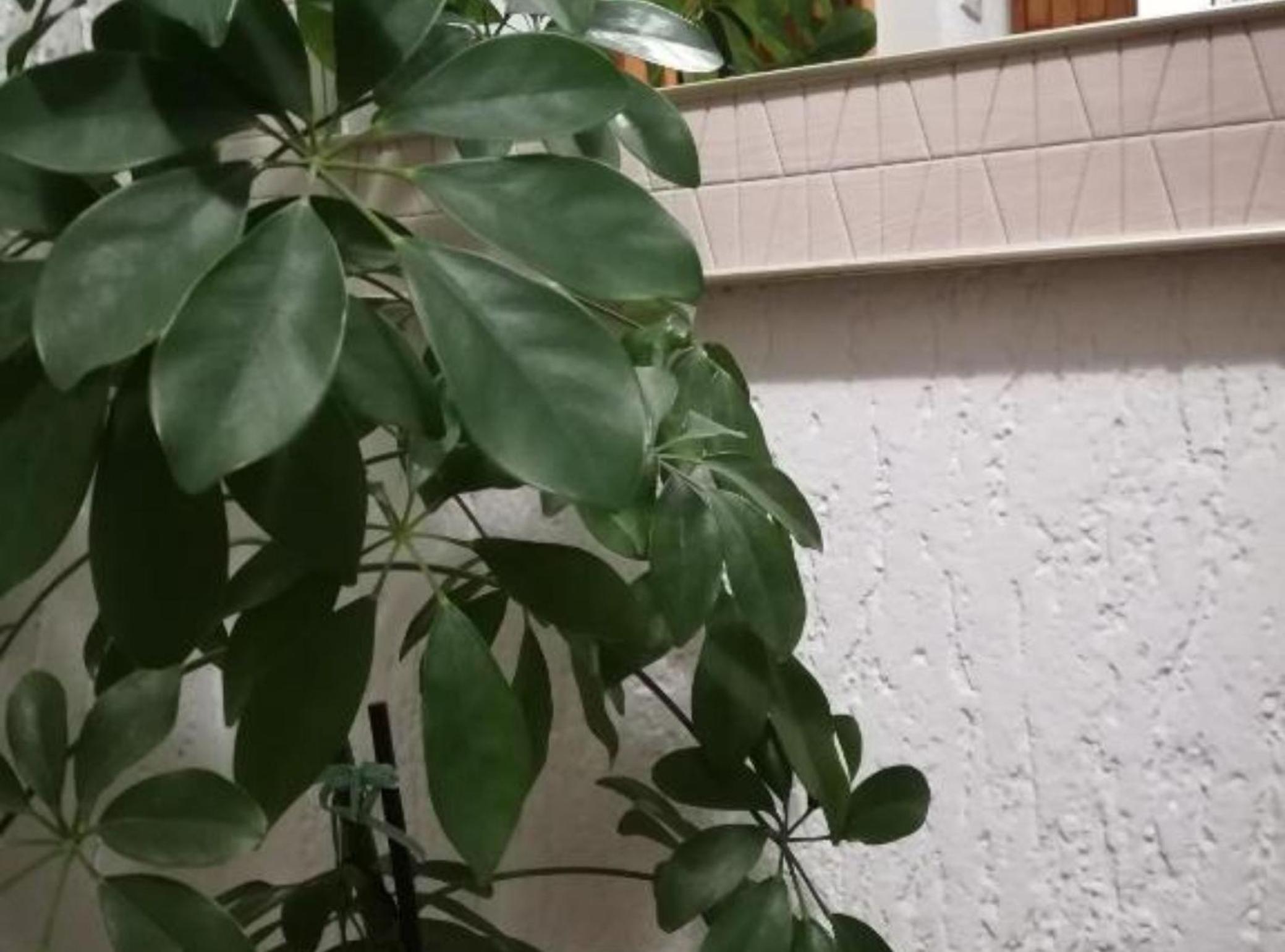 Apartman Olymp Osijek-garaža view 2