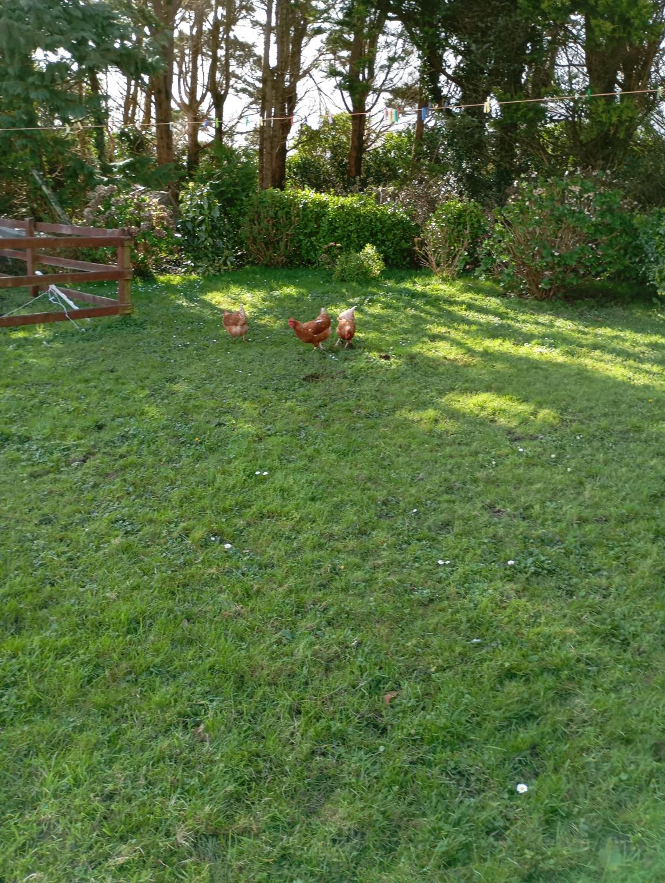 Photo 22