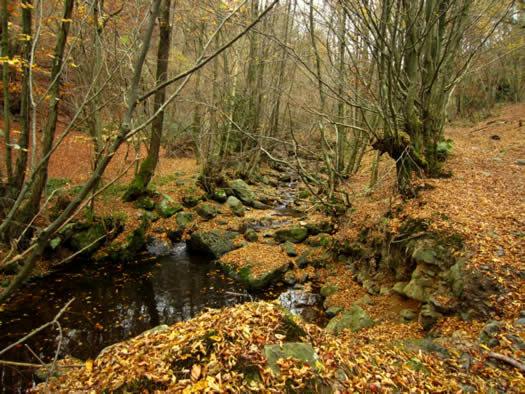 Chemin Babette
