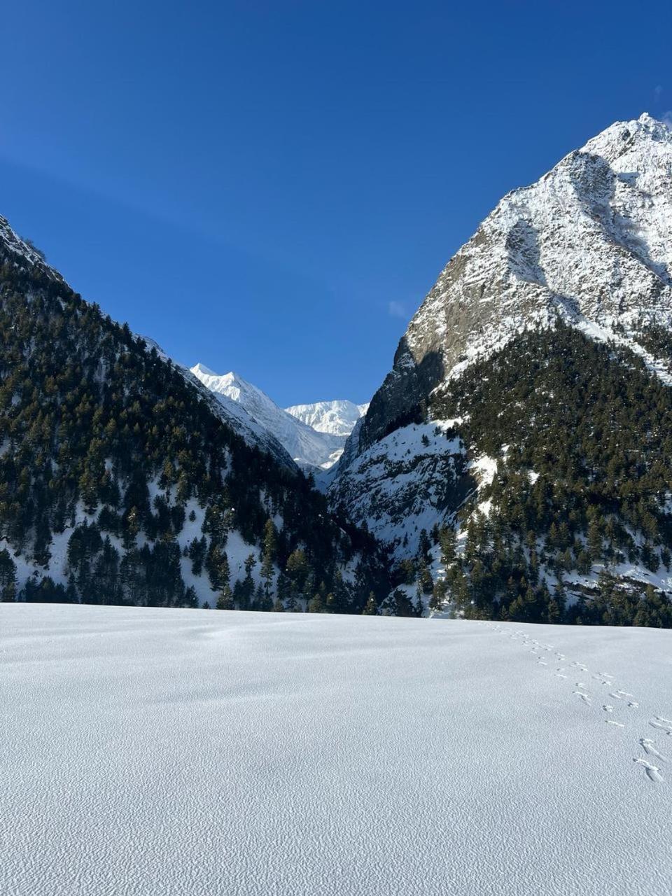 Paradise Point