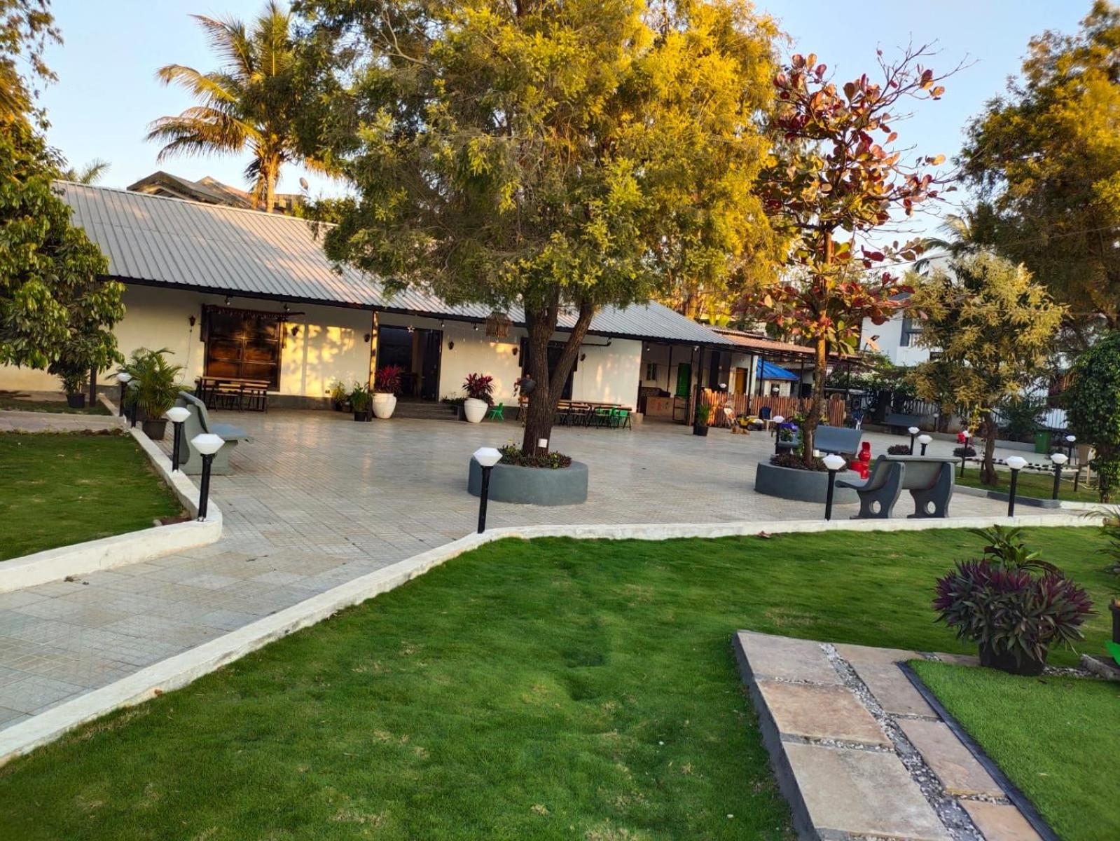 Photo 20