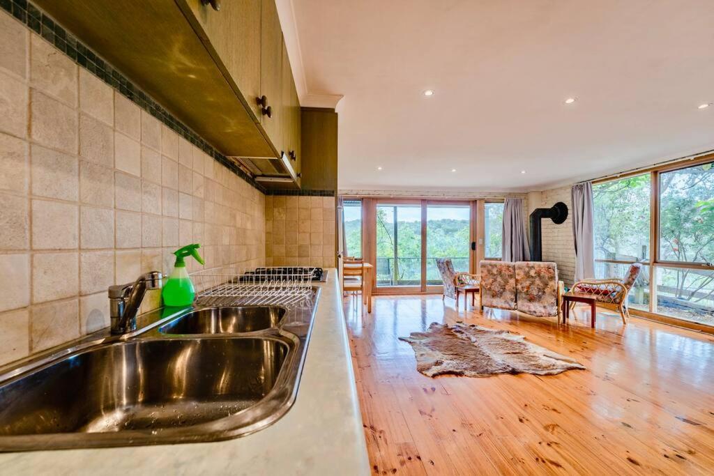 Perfect View Retreat in Forest