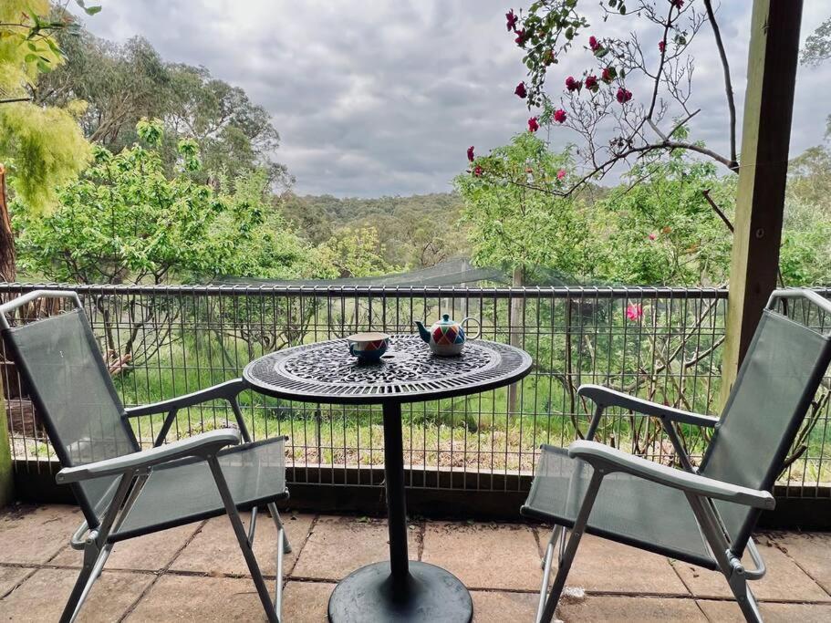 Perfect View Retreat in Forest