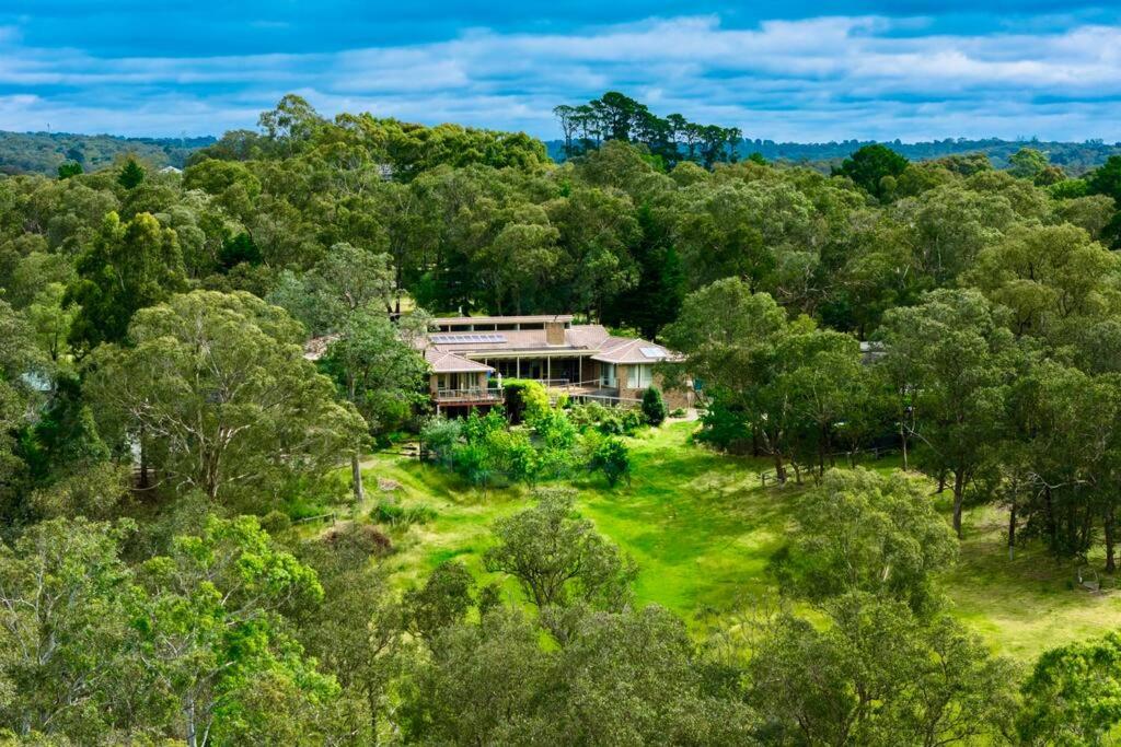 Perfect View Retreat in Forest