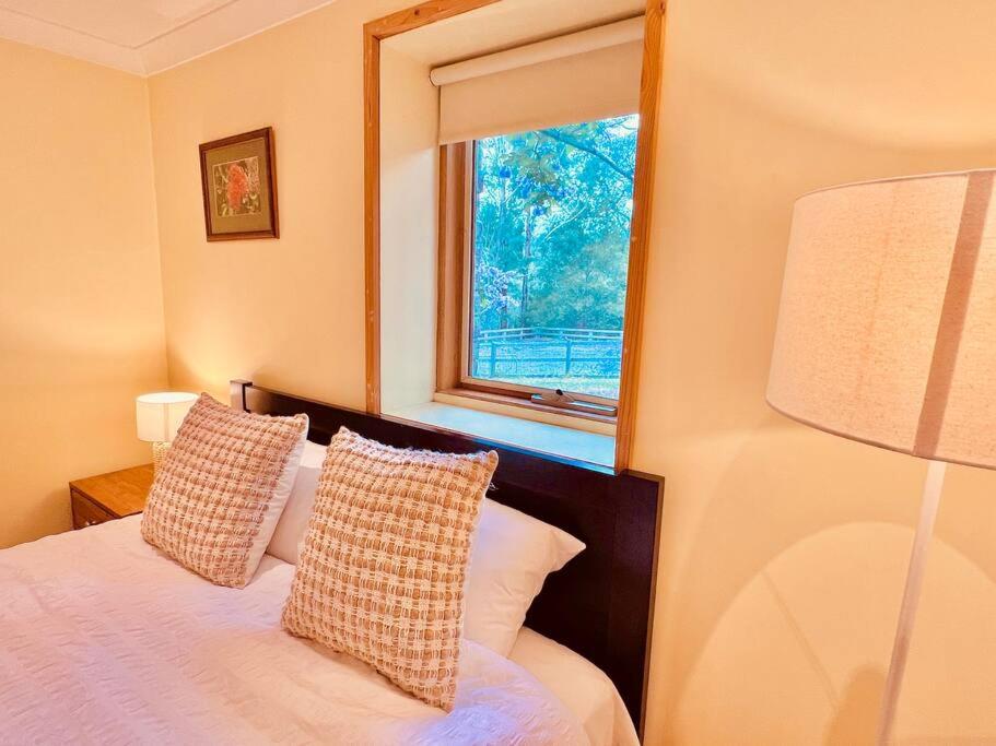 Perfect View Retreat in Forest