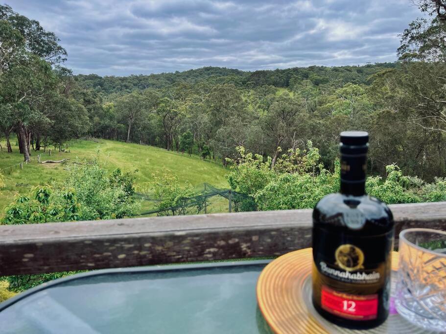 Perfect View Retreat in Forest