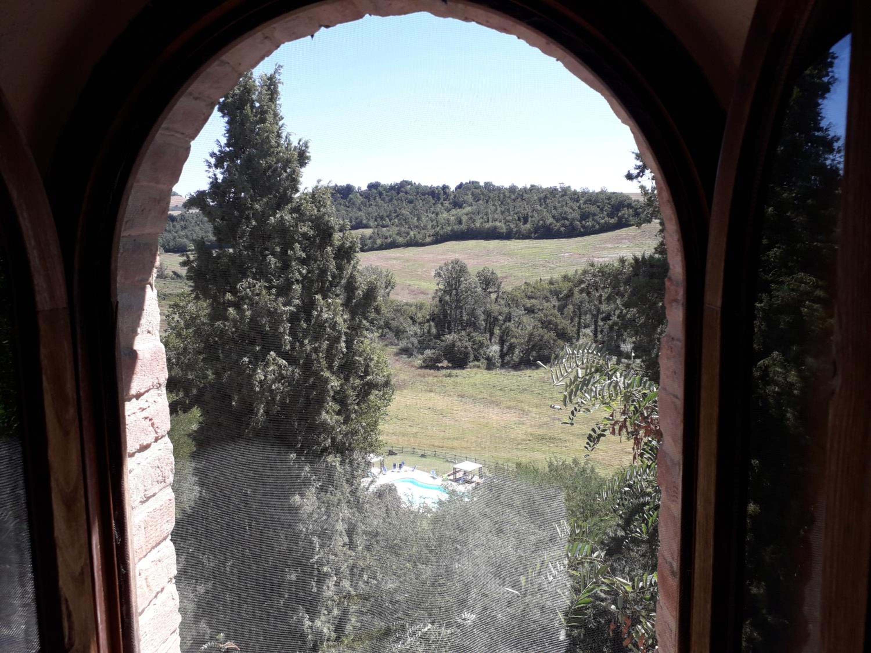 Photo 43