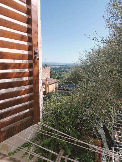"Ciclamino" Autentica Dimora Toscana view 3